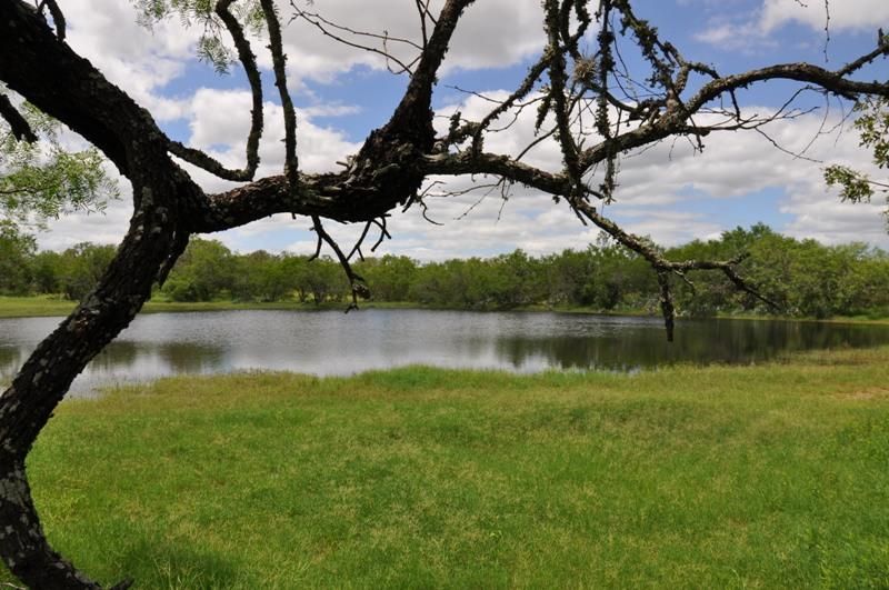 3500 Cobble Road, Poteet, TX 78065 Land and Farm