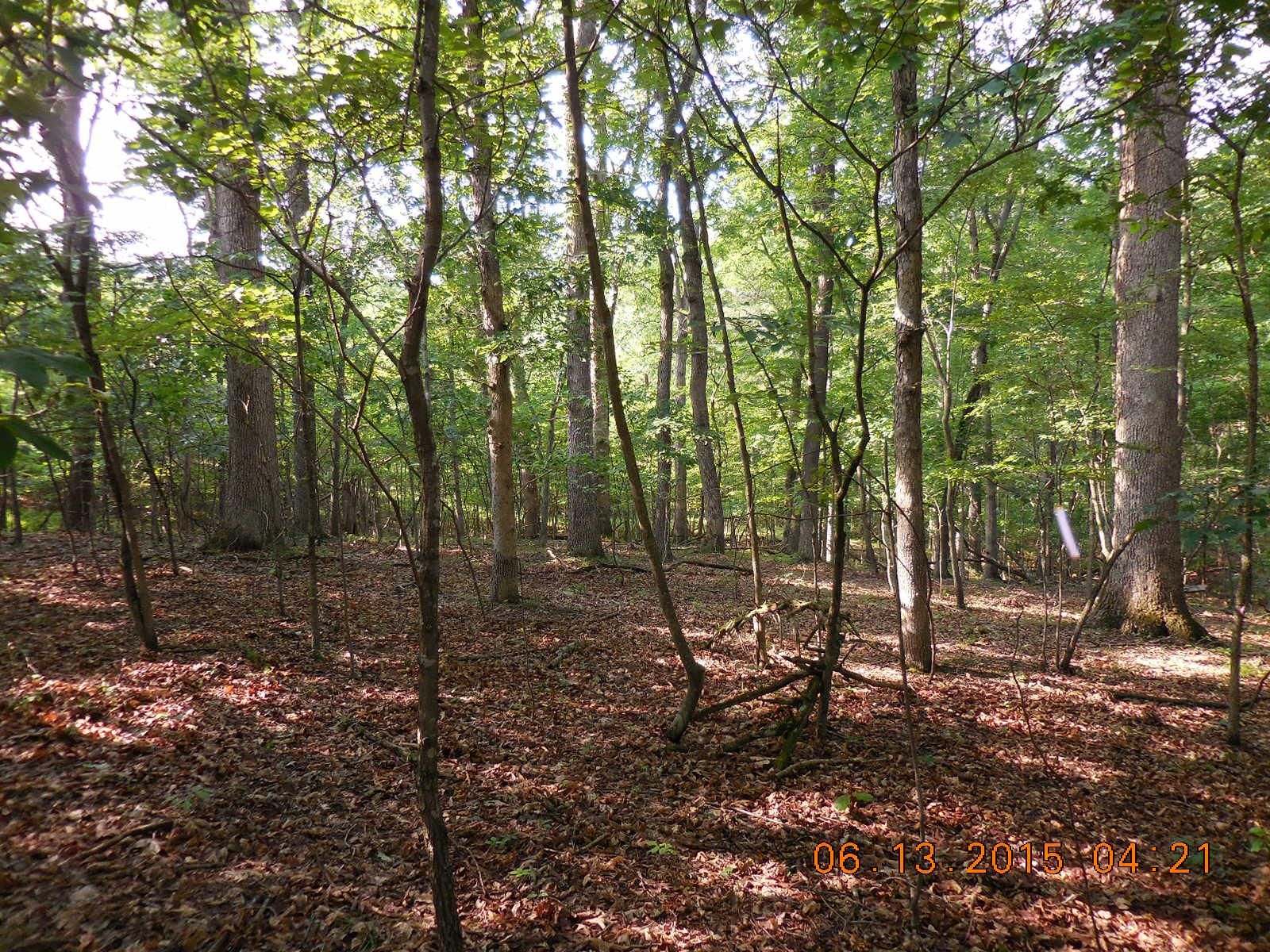 5.44 Acres, Sycamore Lane, Gore, VA 22637 Land and Farm