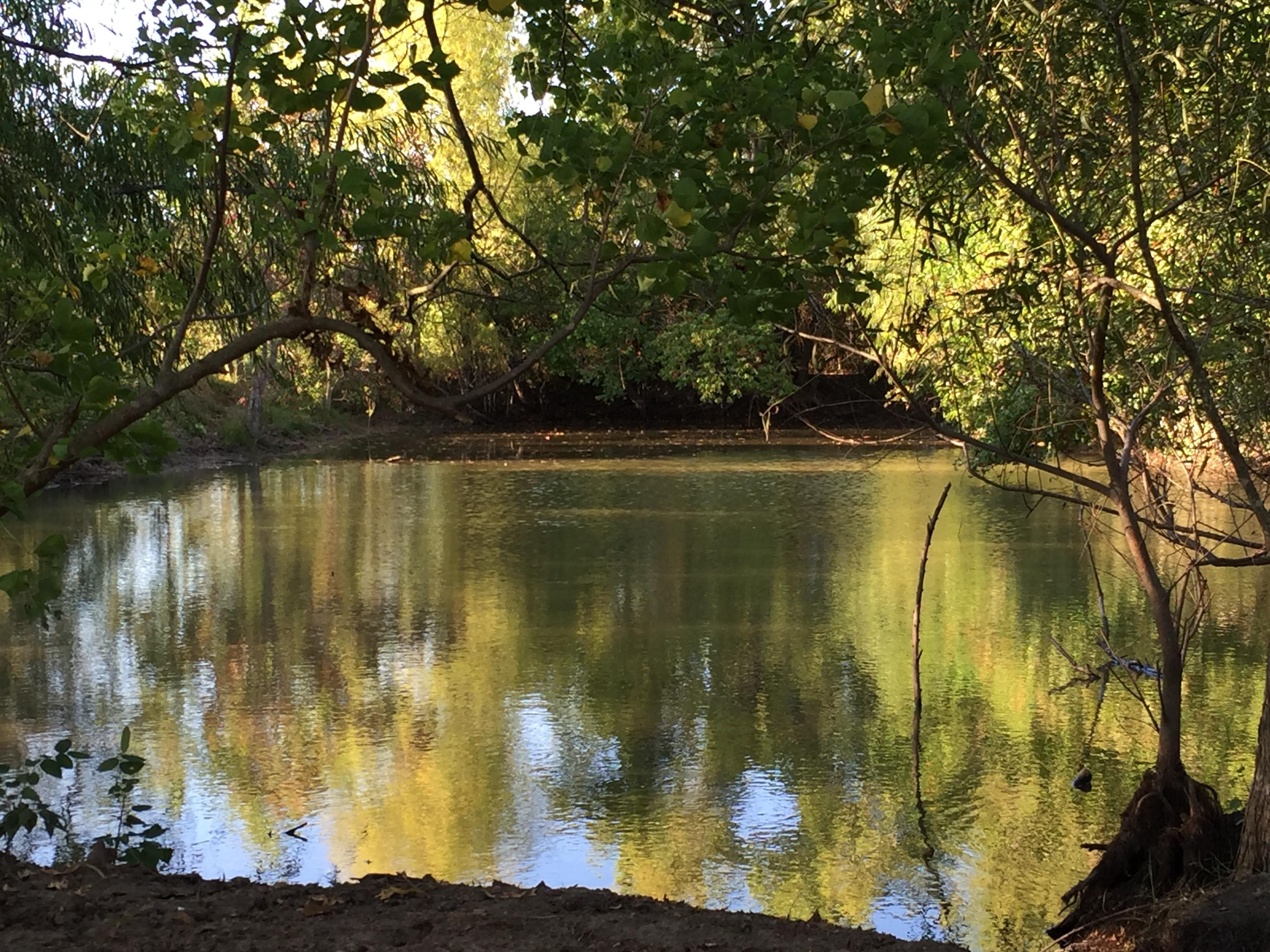81.19 Acres, TBD HWY 22, Whitney, TX 76692 Land and Farm