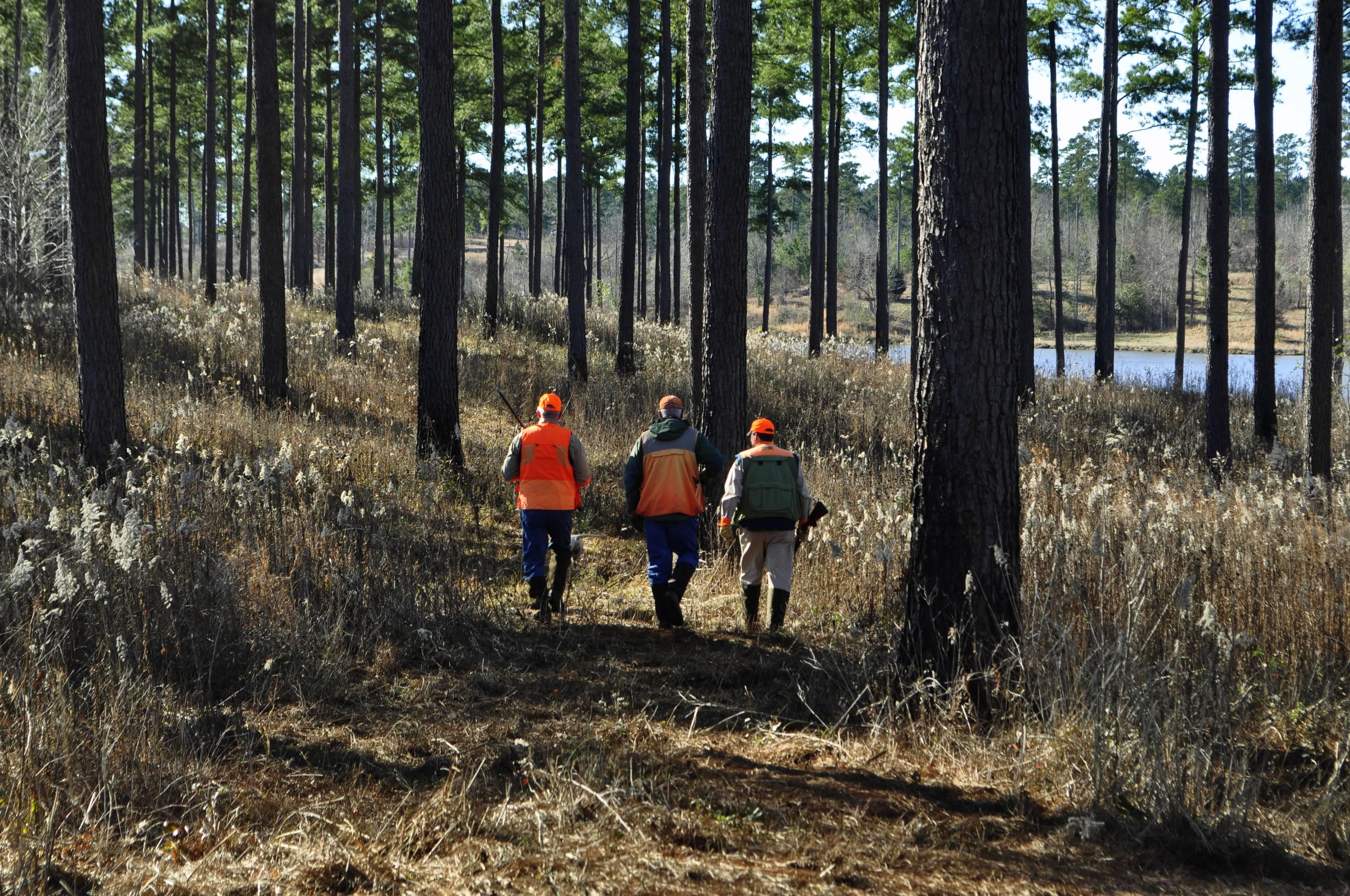 4,200 acres in Richland, GA, 31825 Land and Farm
