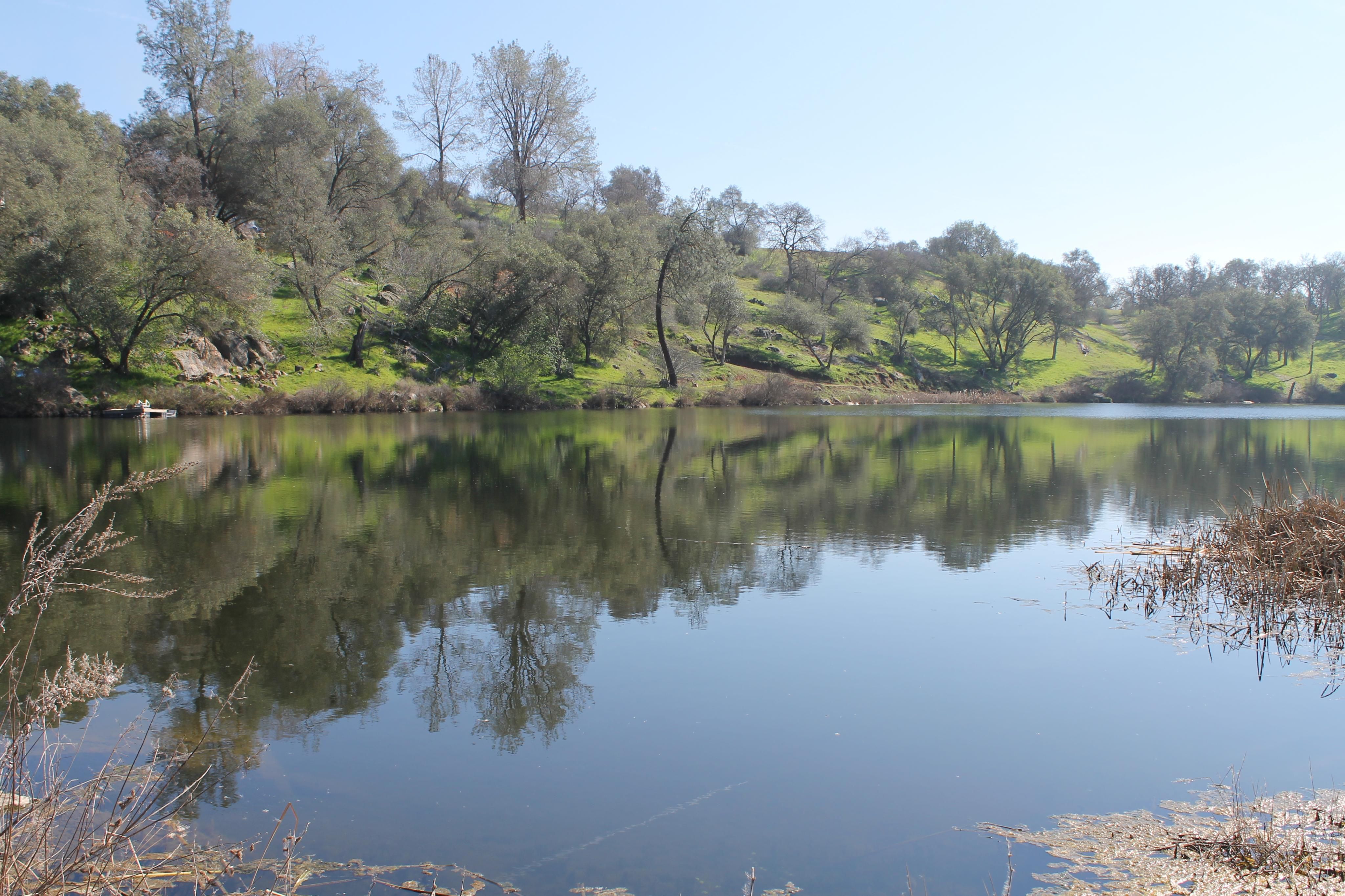 3388 Oak Creek Ranch Road, Catheys Valley, CA 95306 MLS MP16032114