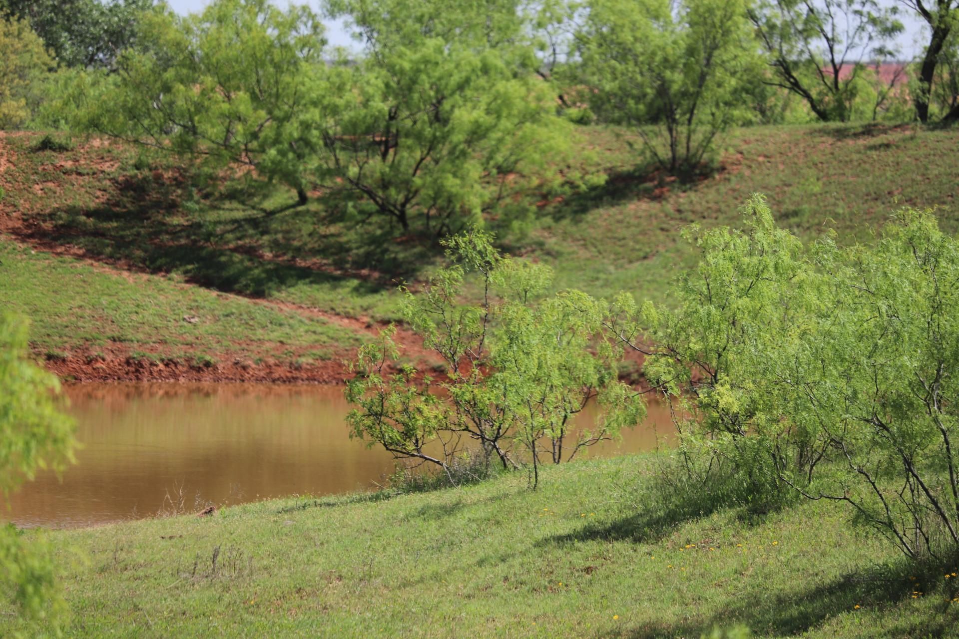 162.5 Acres, Spur, TX 79370 Land and Farm