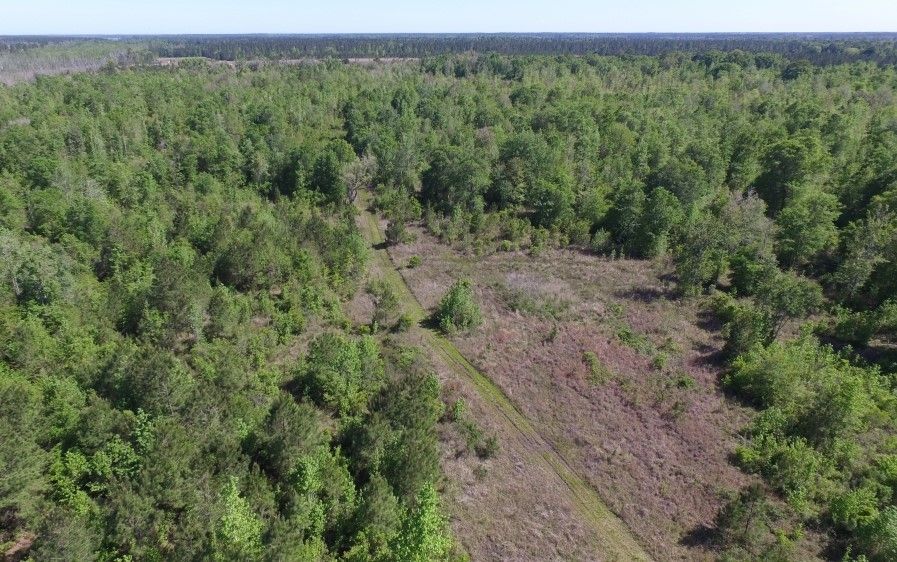 2111 Buck Swamp Road, Brunswick, GA 31523 Land and Farm