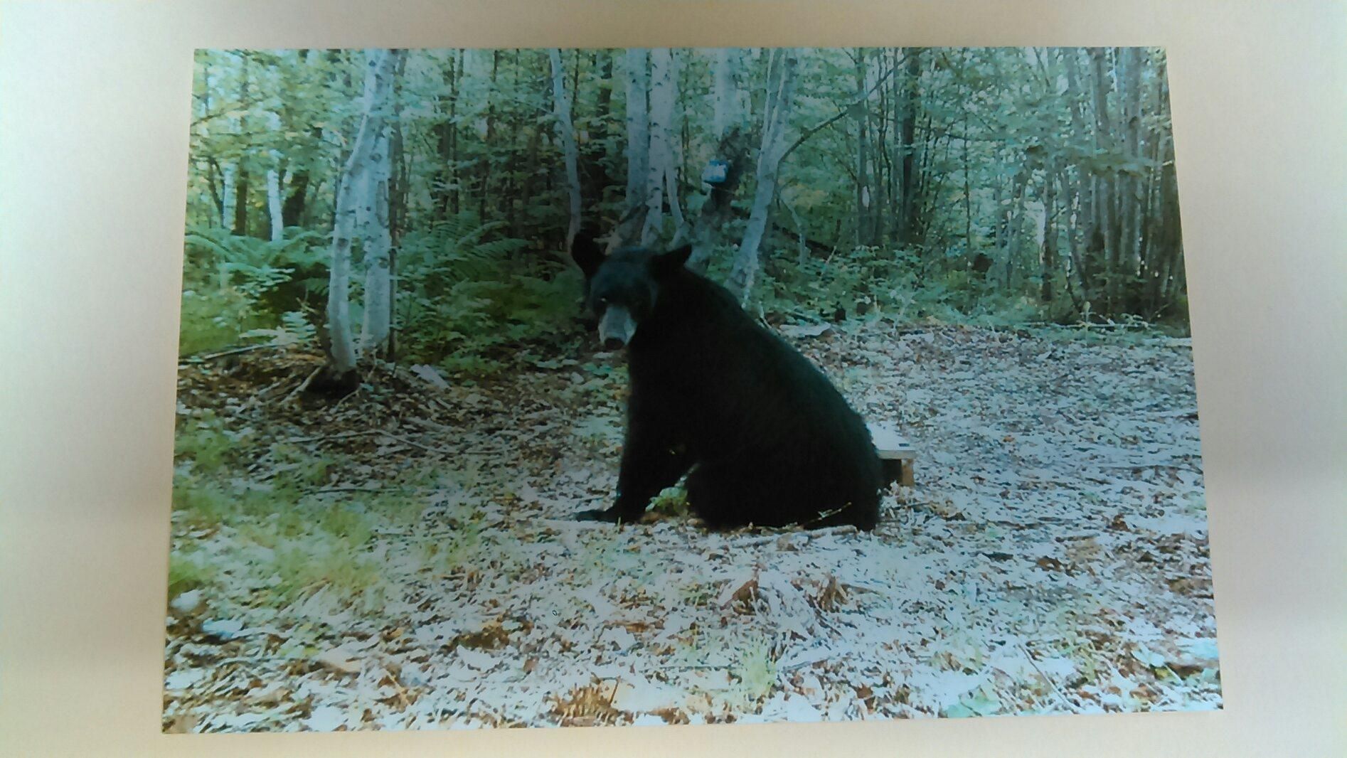 W8653 Cty Rd D, WI 54745 Land and Farm