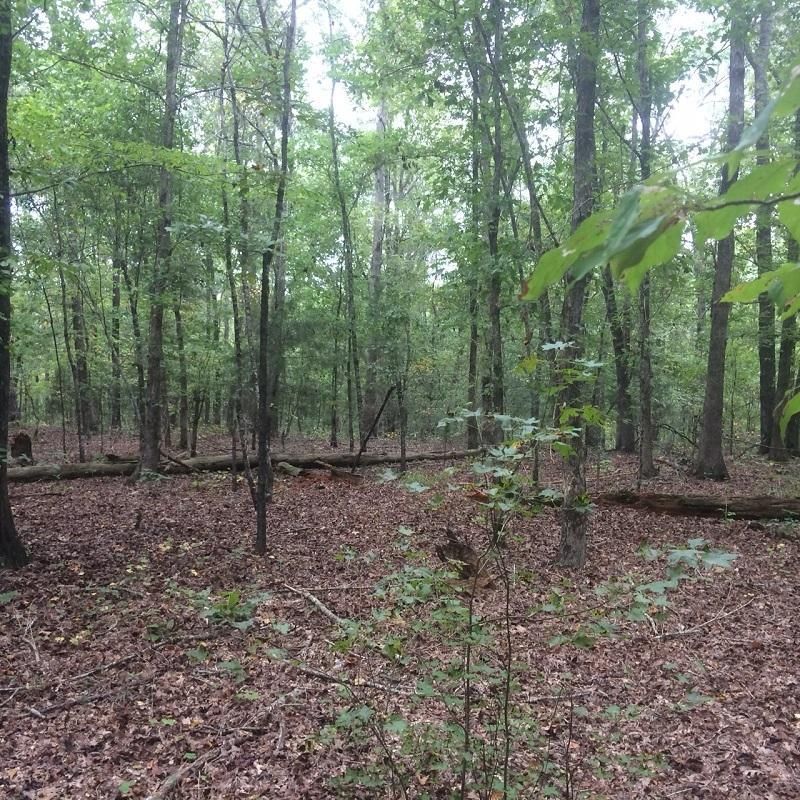 42 Acres, AL107 & Turner Road, Fayette, AL 35555 Land and Farm