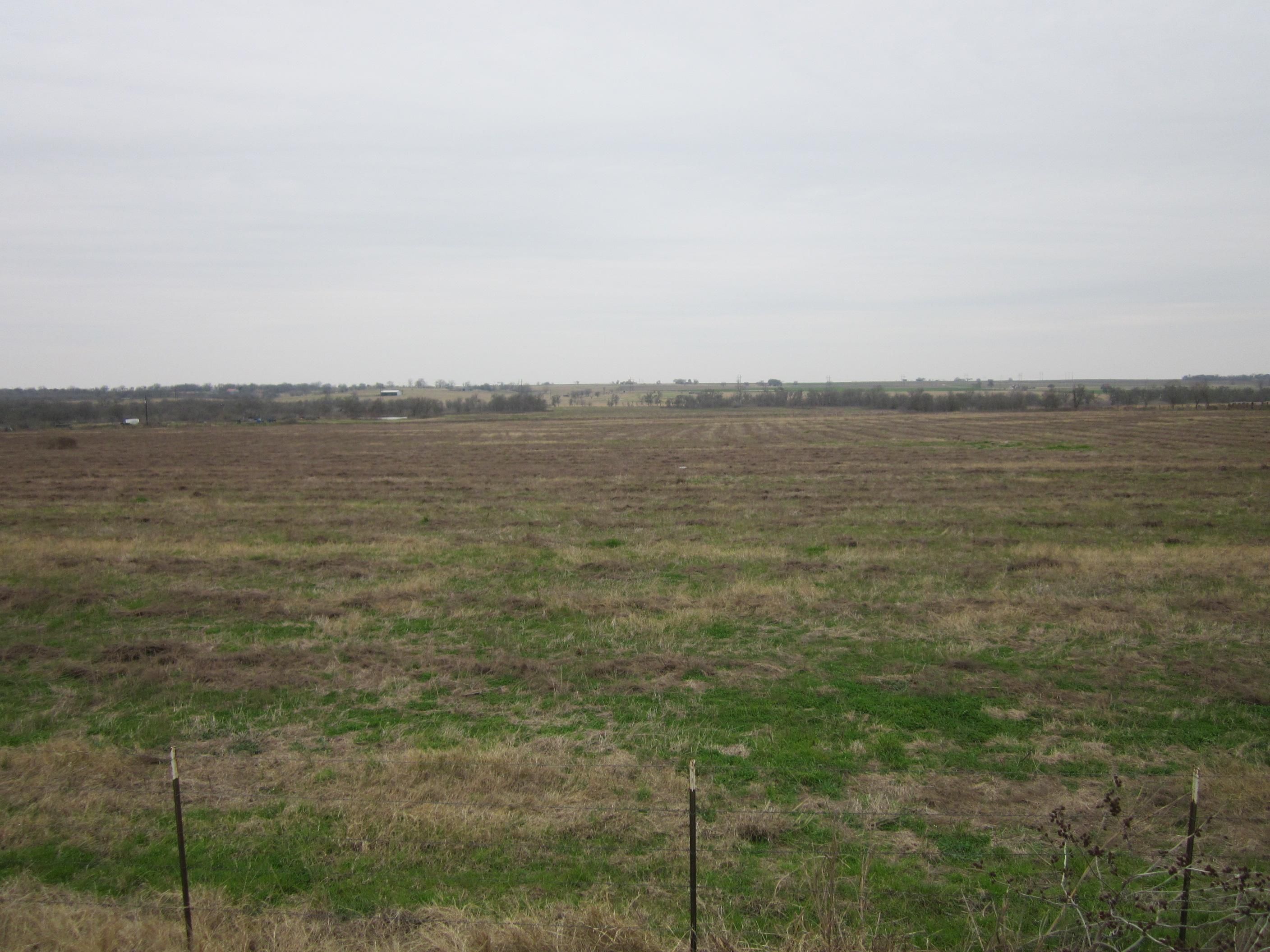42 Acres, Coupland, TX 78615 Land and Farm