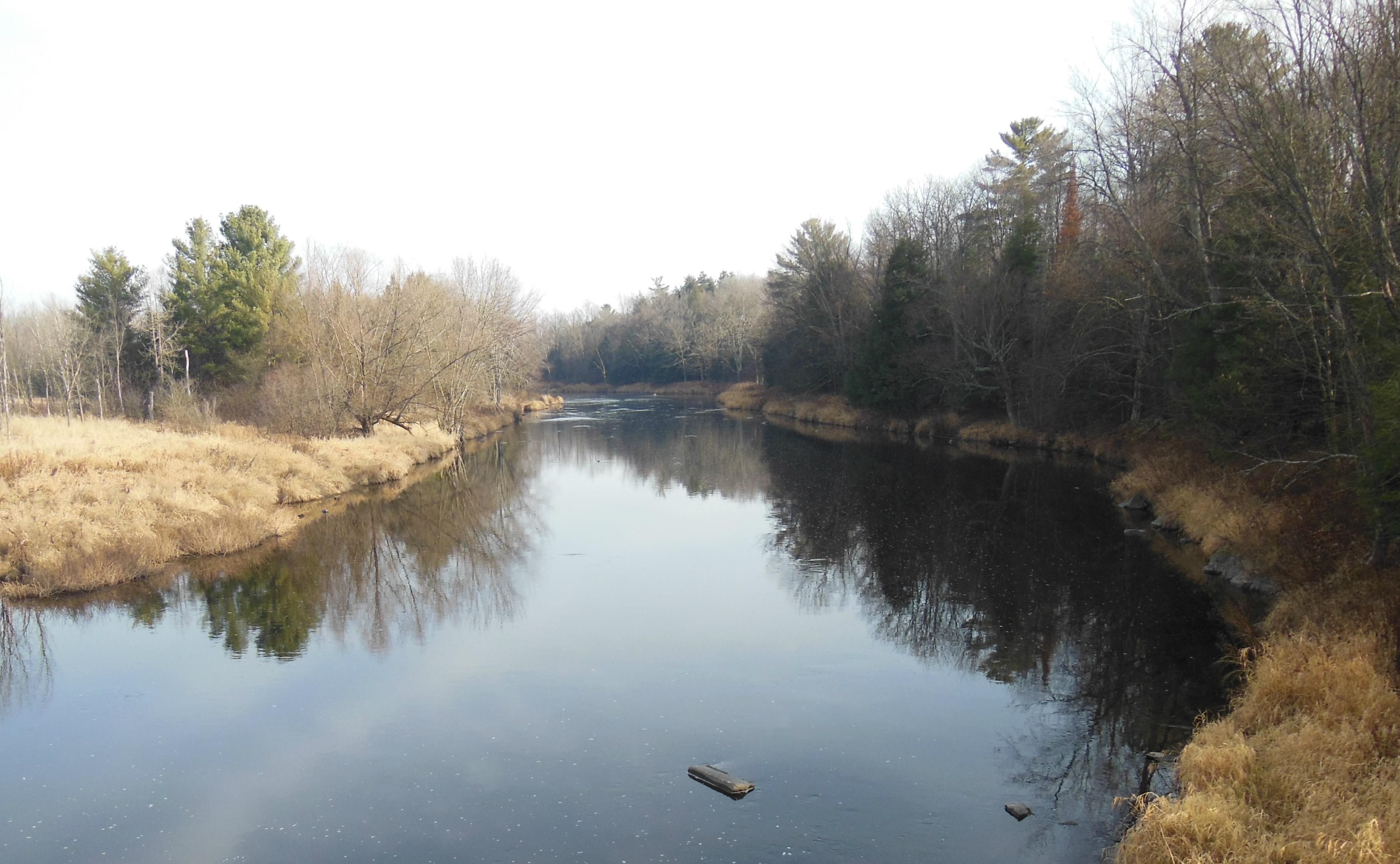 Eau Claire River Road and Badger Road, Ringle, WI 54471 Land and Farm