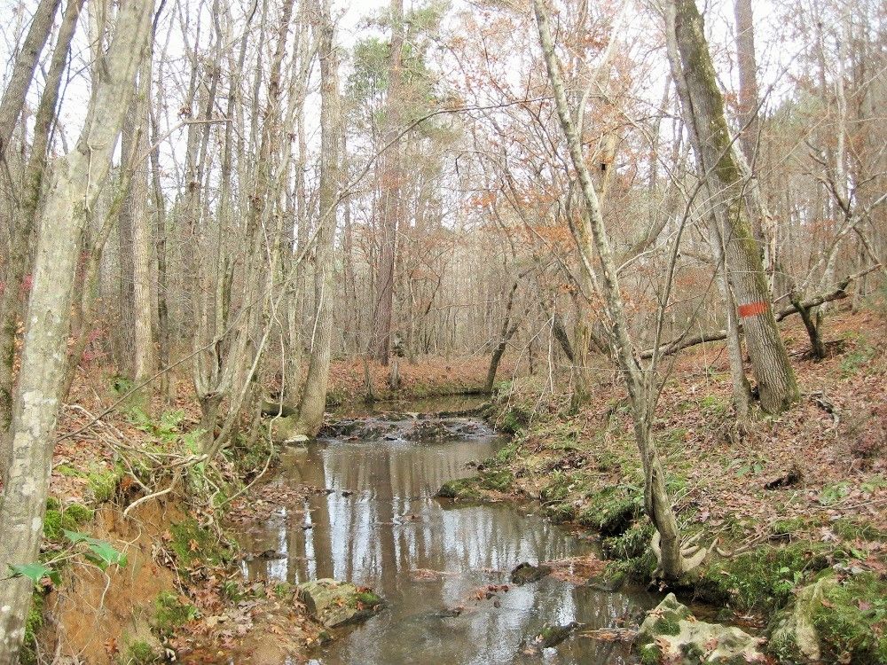 64.71 Acres, 0 Hwy 378 E, McCormick, SC 29835 Land and Farm