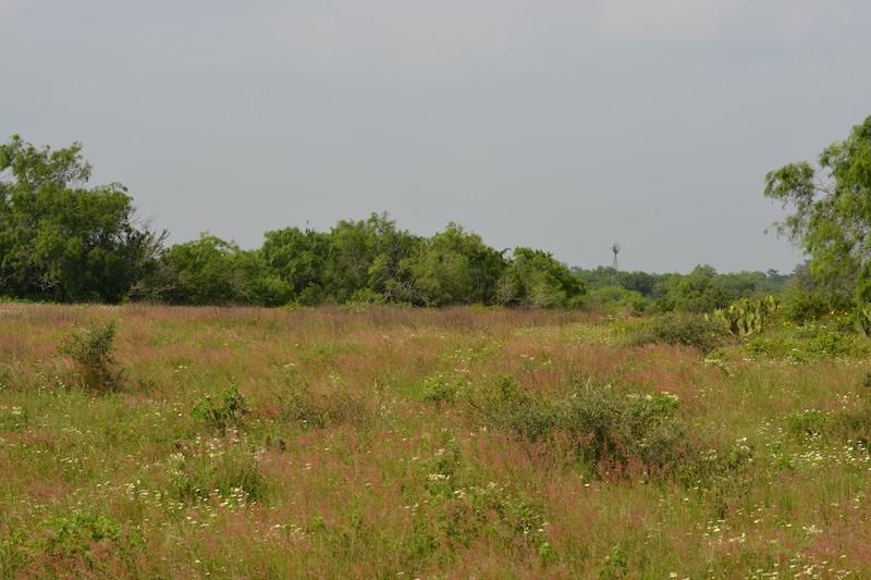 935 Acres, Encino, TX 78353 Land and Farm