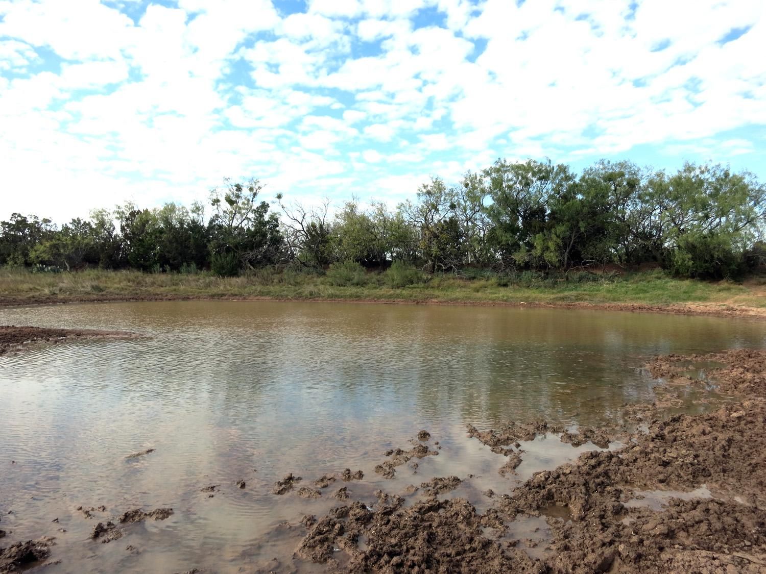 756 acres in Wingate, TX, 79566 Land and Farm