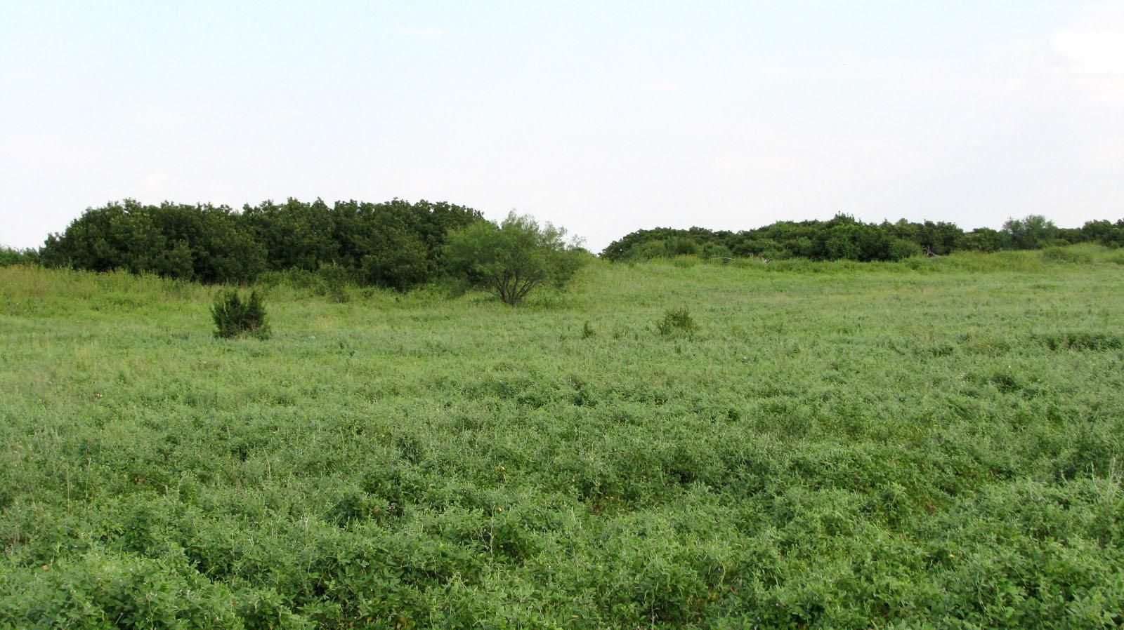 160 Acres, Rule, TX 79547 Land and Farm