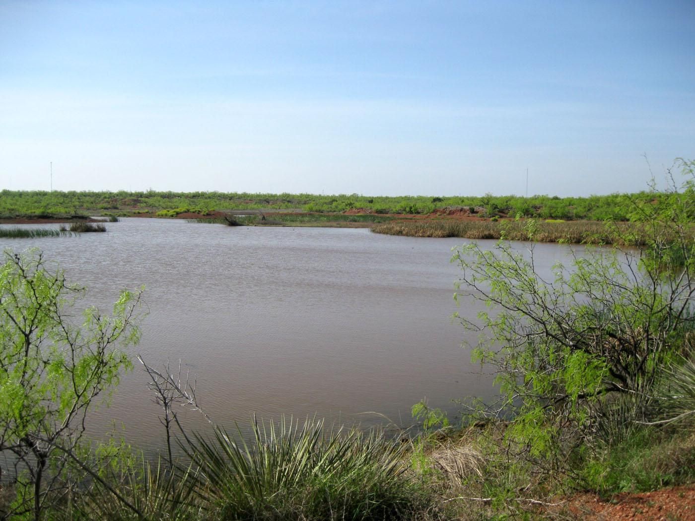 235.9 Acres, Stamford, TX 79553 Land and Farm