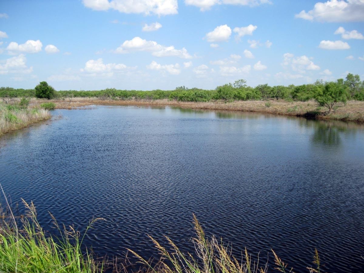 163 Acres, 850 CR 142, Moran, TX 76464 Land and Farm