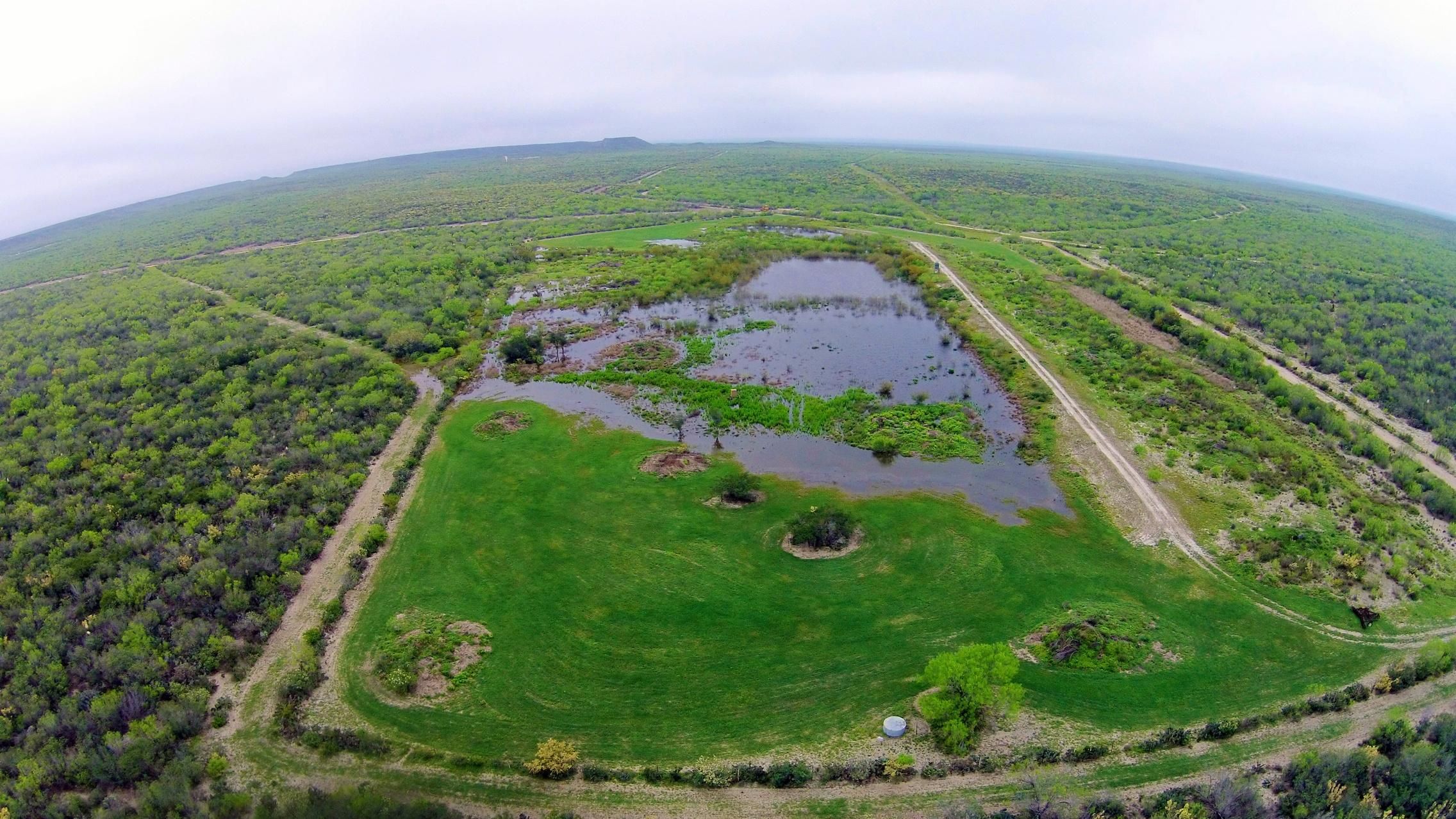 4,666 Acres, FM 649, Hebbronville, TX 78369 Land and Farm