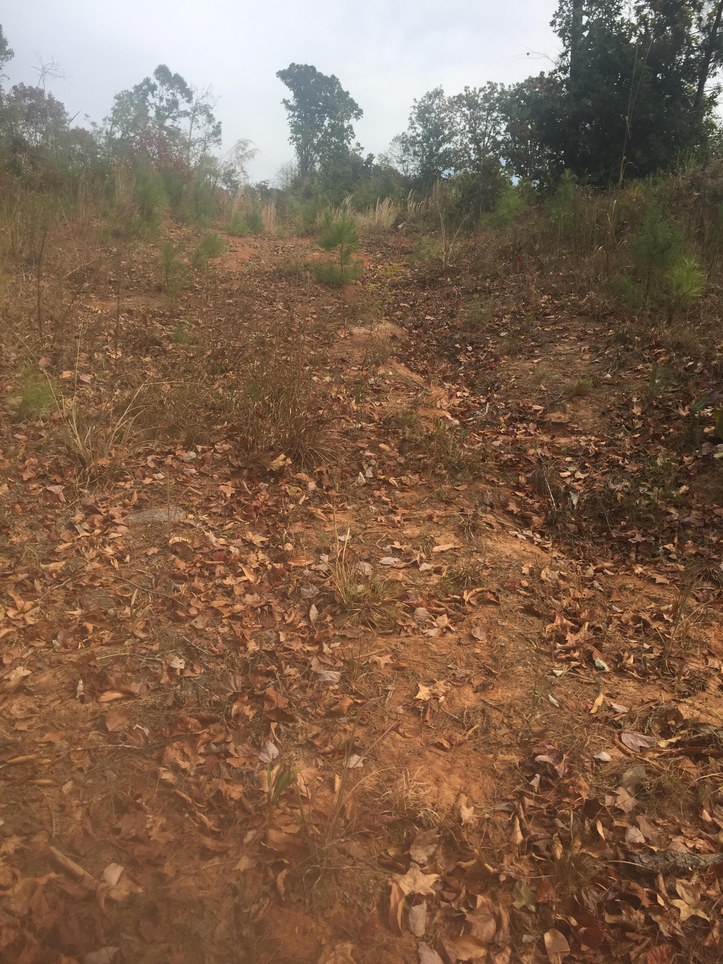 8 Acres, Sturgis Maben Rd., Sturgis, MS 39769 Land and Farm