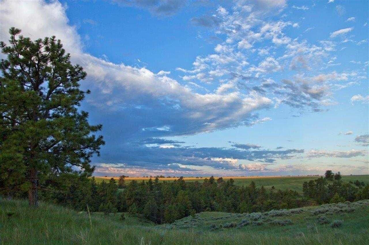 517 Acres, NHN Hwy 236, Winifred, MT 59489 Land and Farm