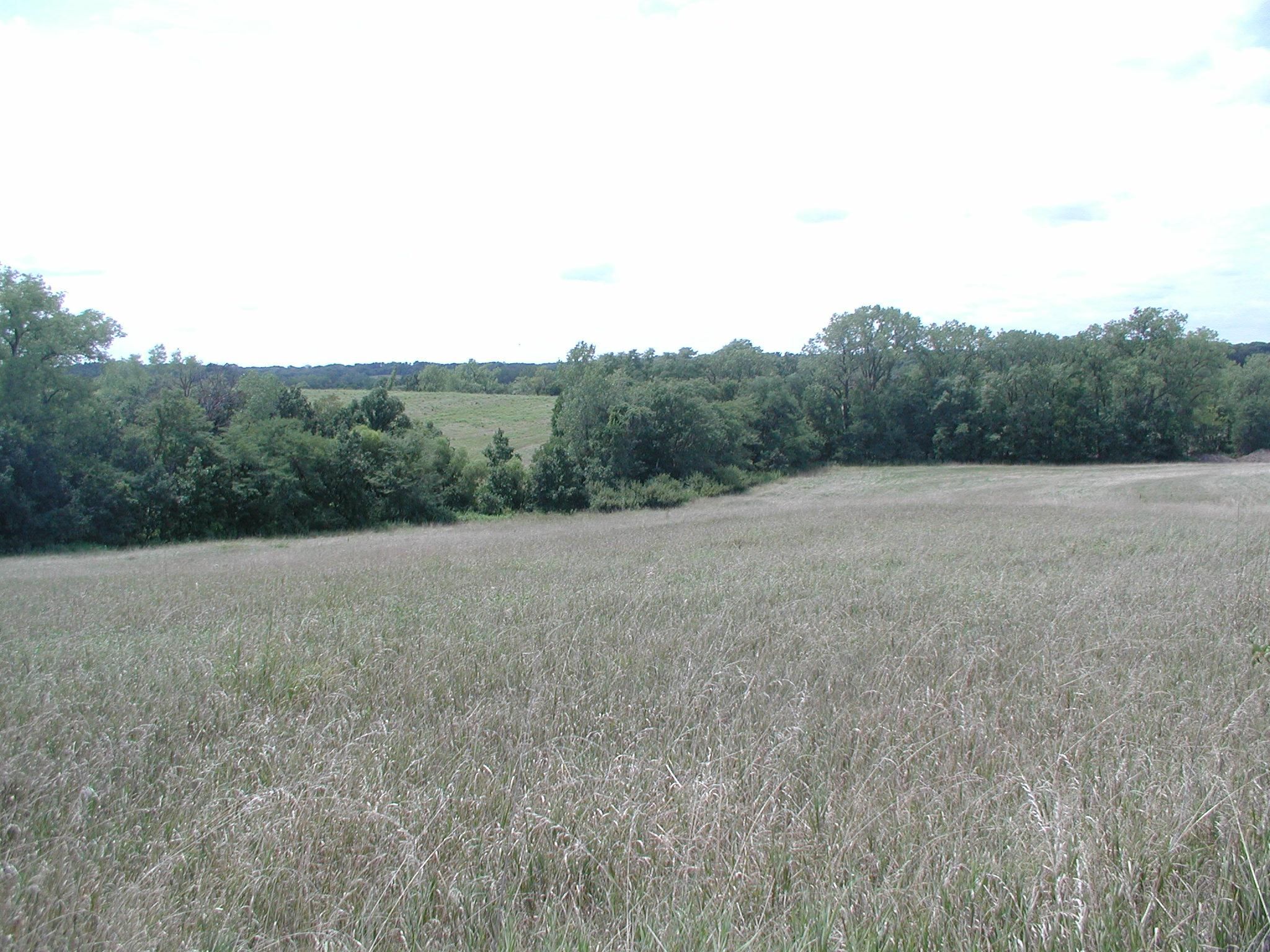 40 Acres, Rural, Princeton, MO 64673 Land and Farm