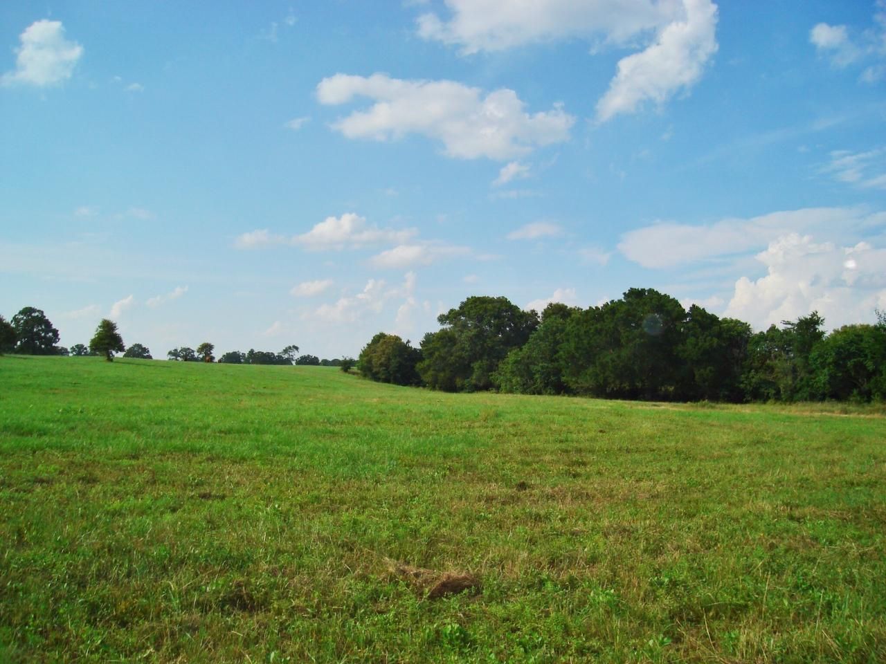 4002 FM 977 East, Leona, TX 75850 Land and Farm