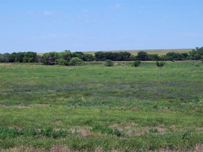 12100 N Camp Crook Road, Camp Crook, SD 57724 Land and Farm
