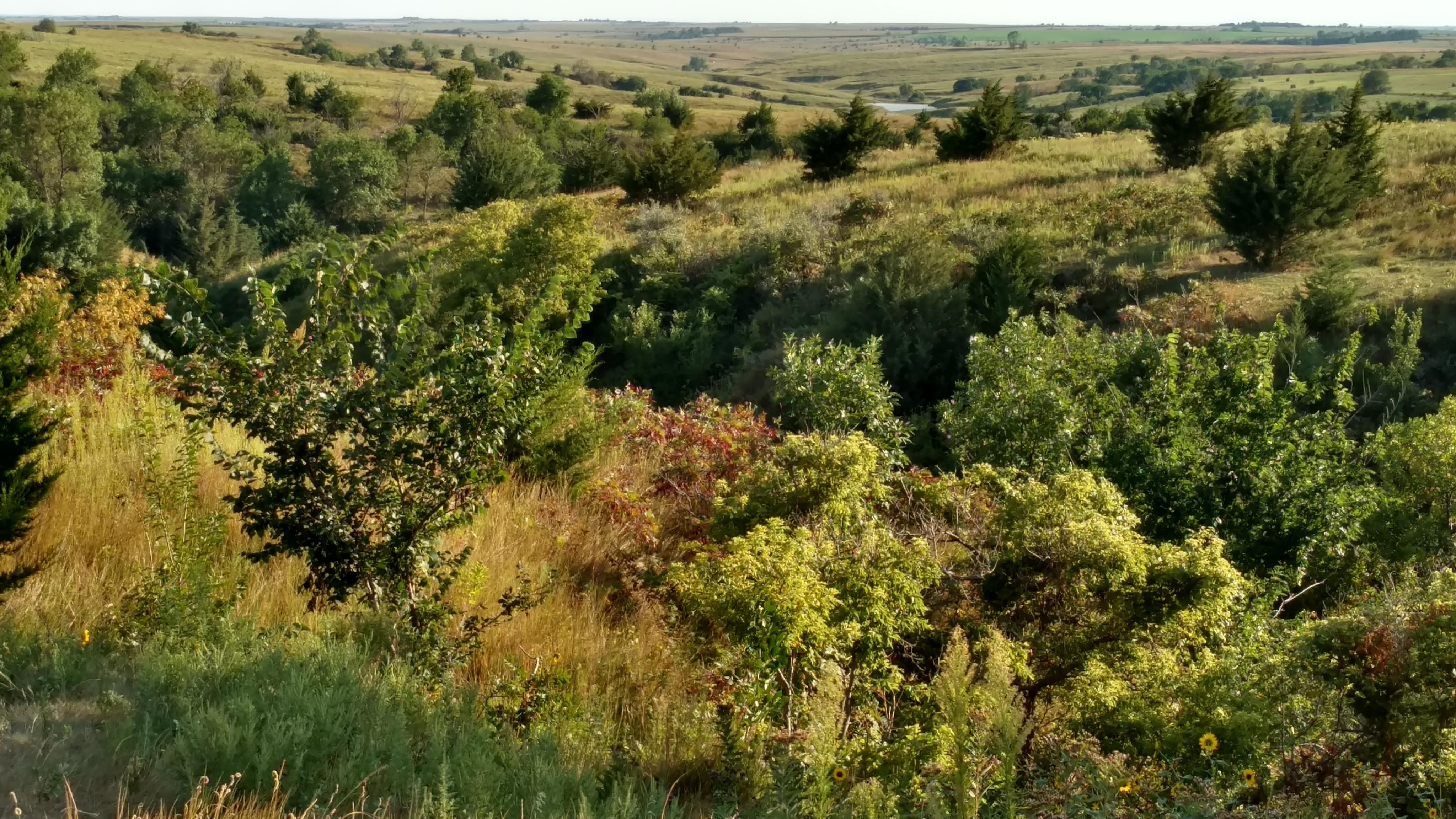 791.6 acres in Elwood, NE, 68937 Land and Farm