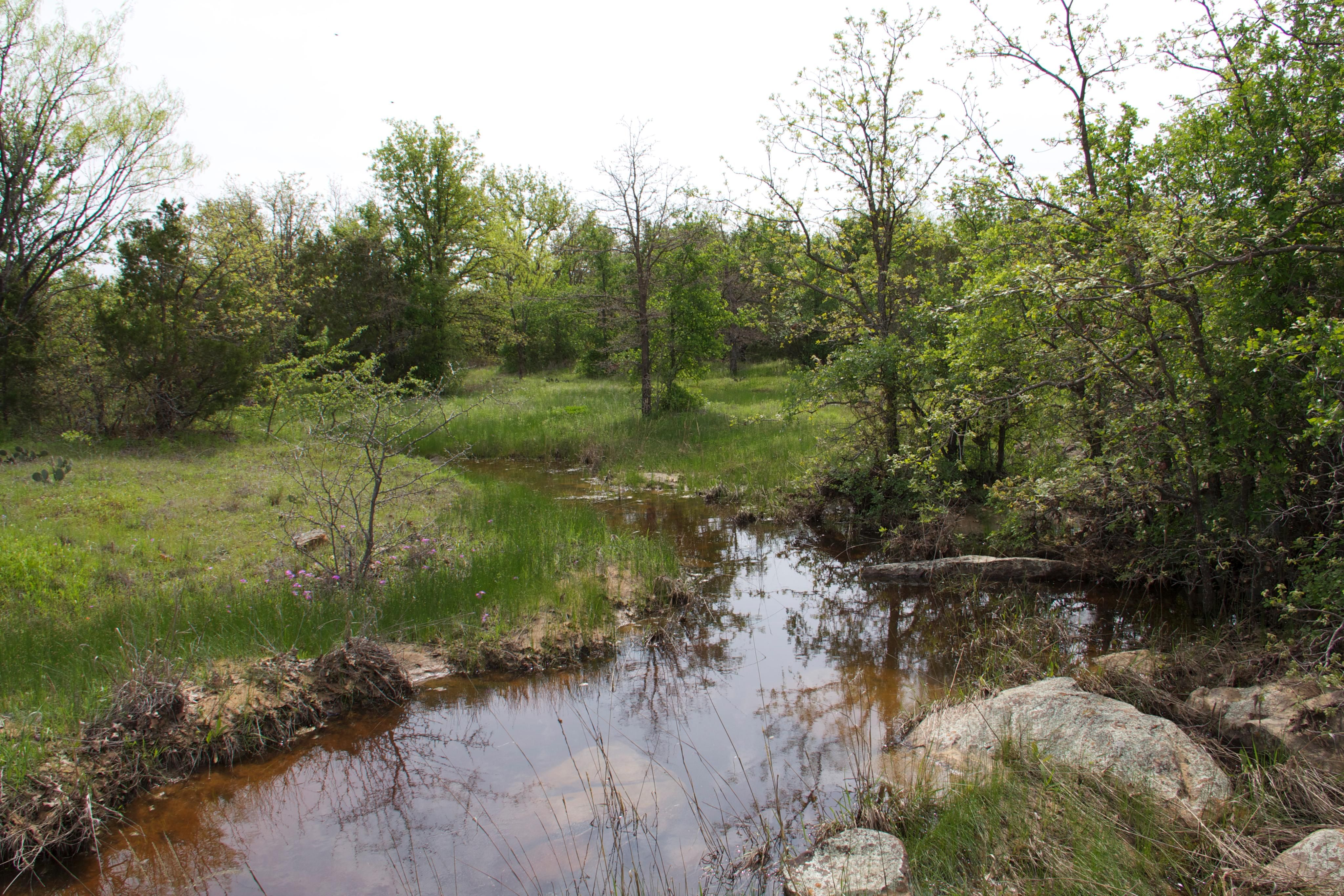 570 acres in Lone Camp, TX, 76472 Land and Farm