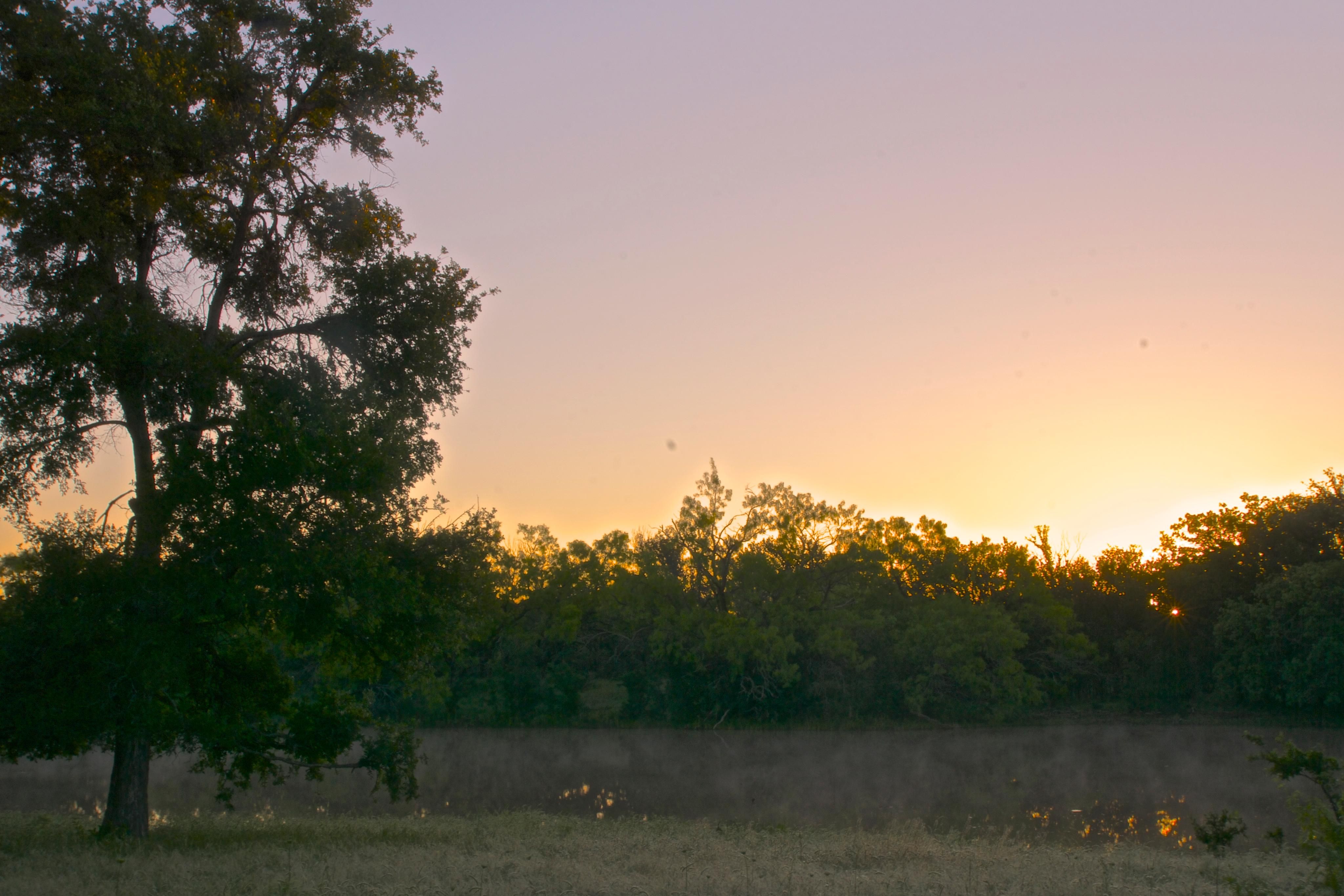 101 Acres, Fm 209, Graham, TX 76450 Land and Farm