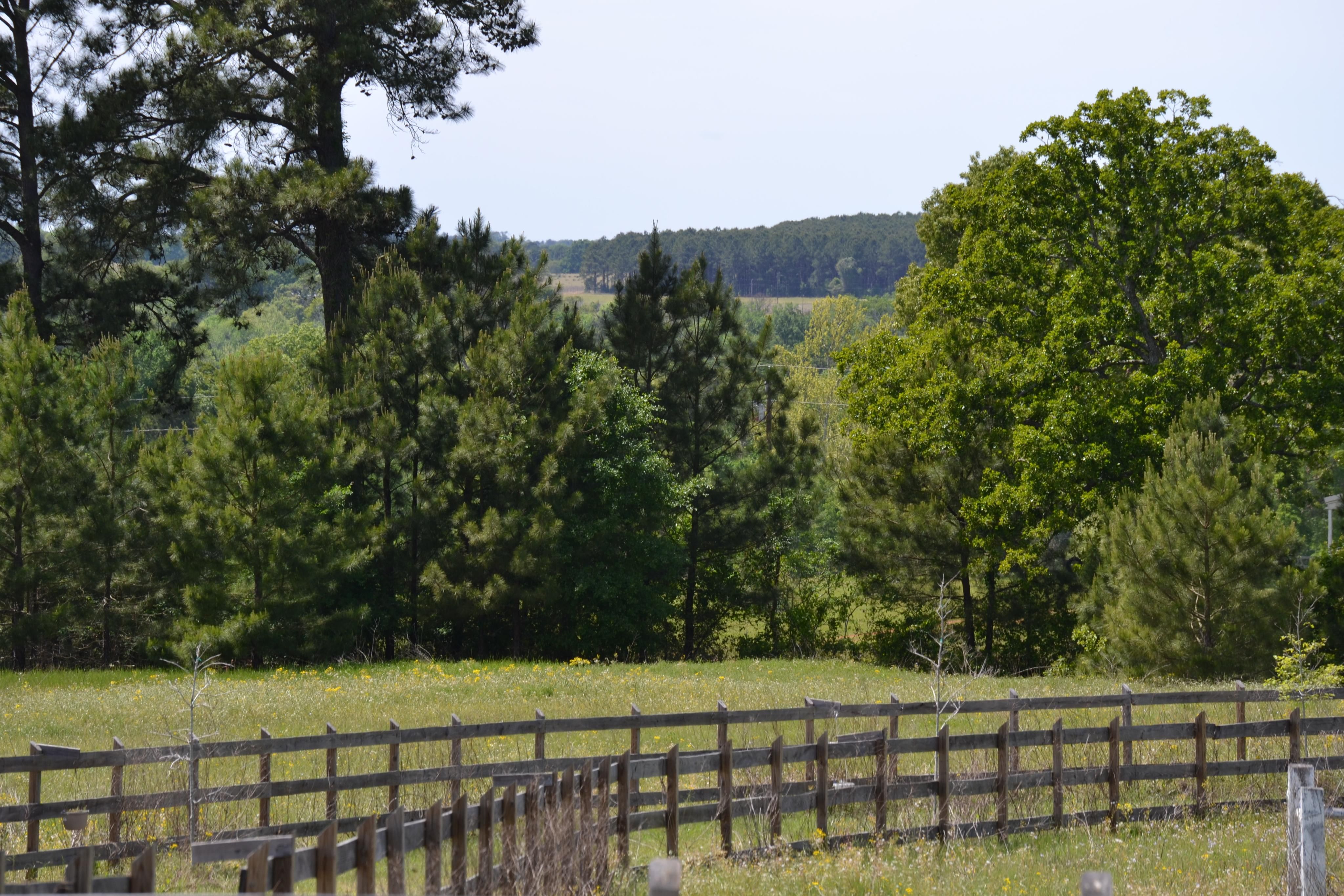 70 Acres, 1239 ACR 1213, Grapeland, TX 75844 Land and Farm