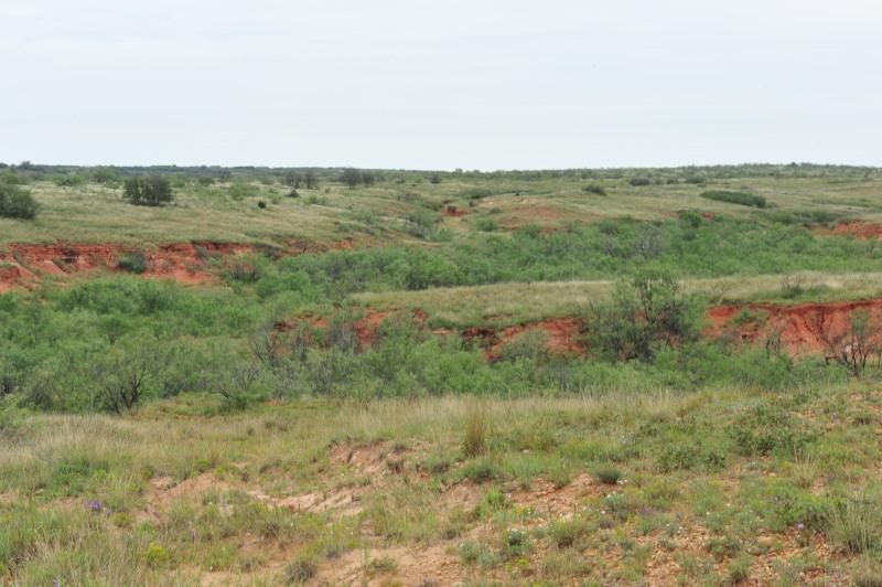 1,440 acres in Dickens, TX, 79229 Land and Farm