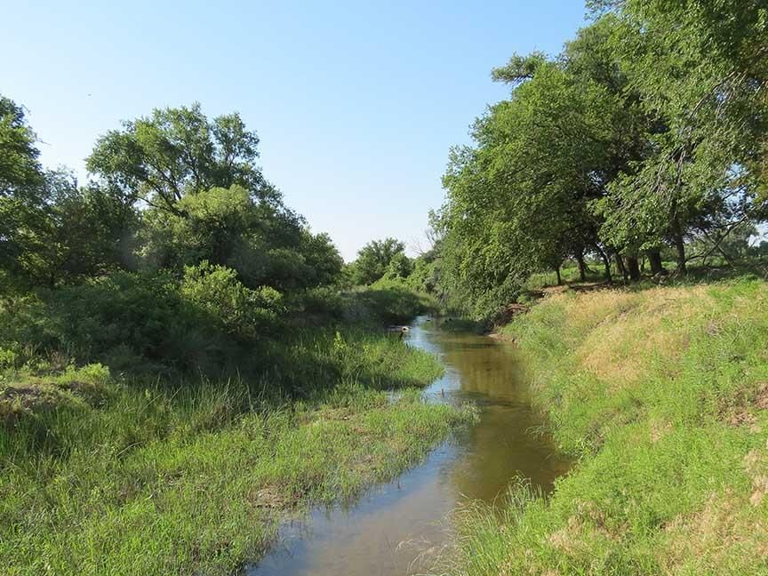 12,962 acres in Shattuck, OK, 73858 Land and Farm