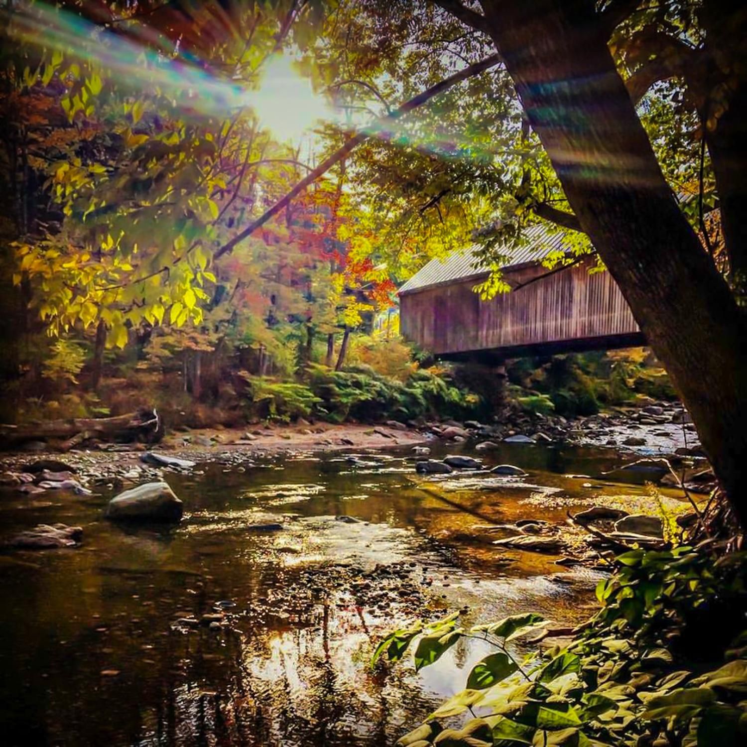 127 Dover Road, Newfane, VT 05362 Land and Farm