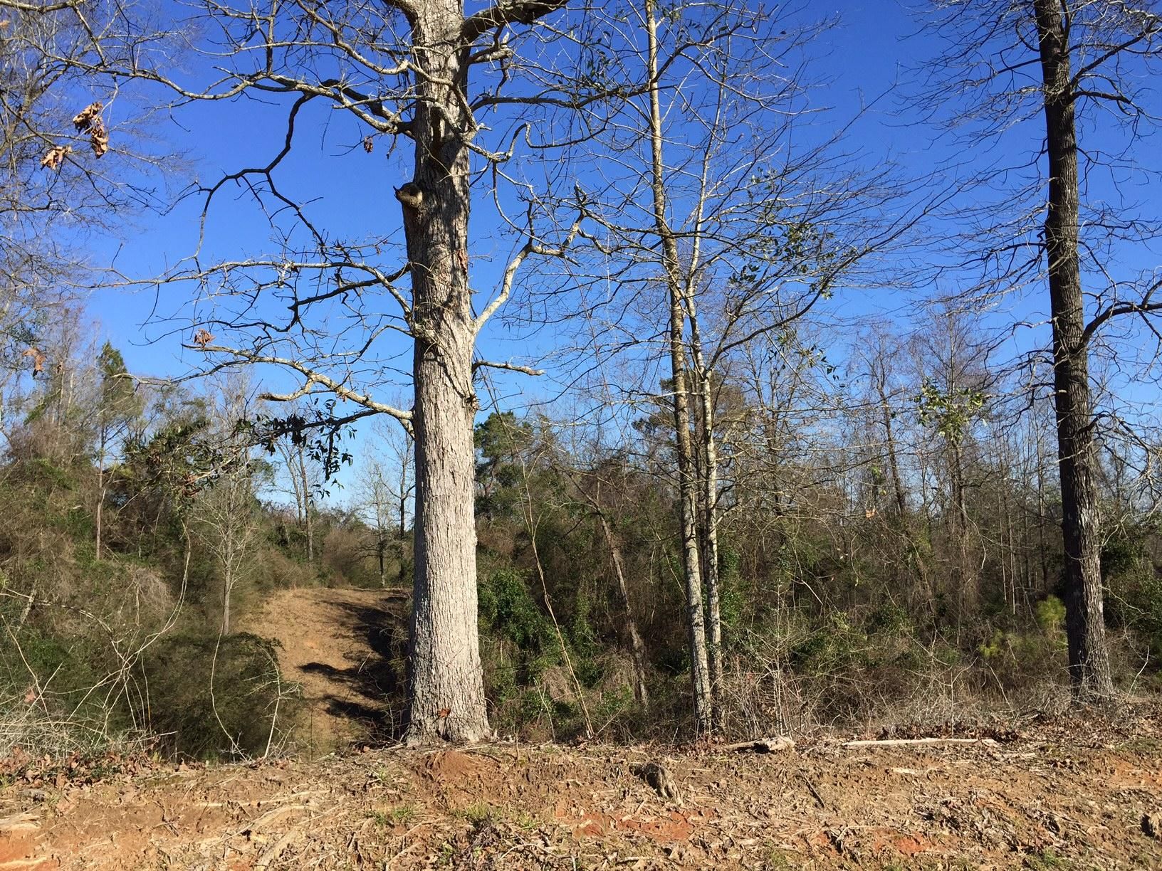 14.5 Acres, P.O. Box 642, Ellisville, MS 39437 Land and Farm