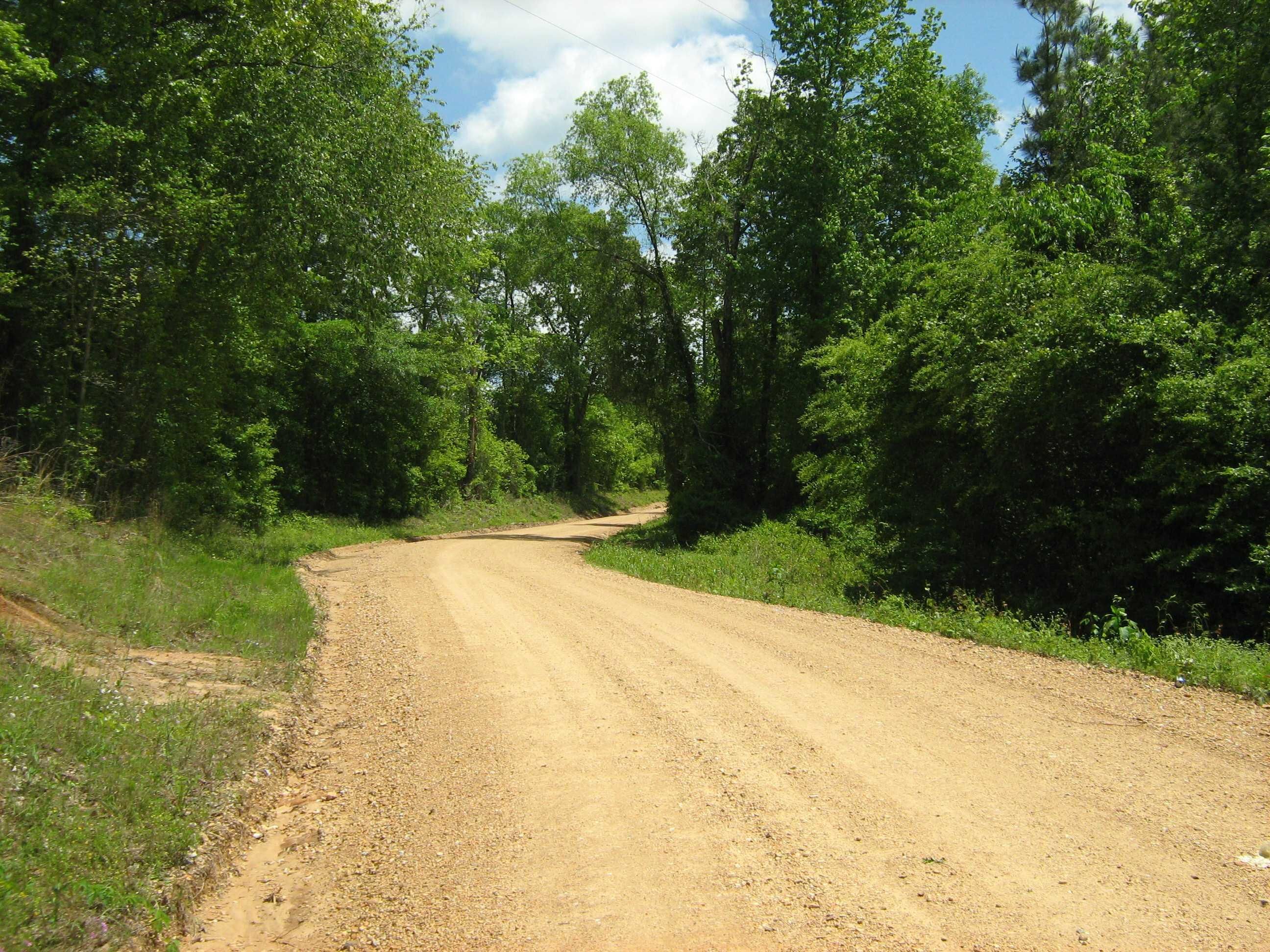 38 Acres, Tuscaloosa, AL 00000 Land and Farm