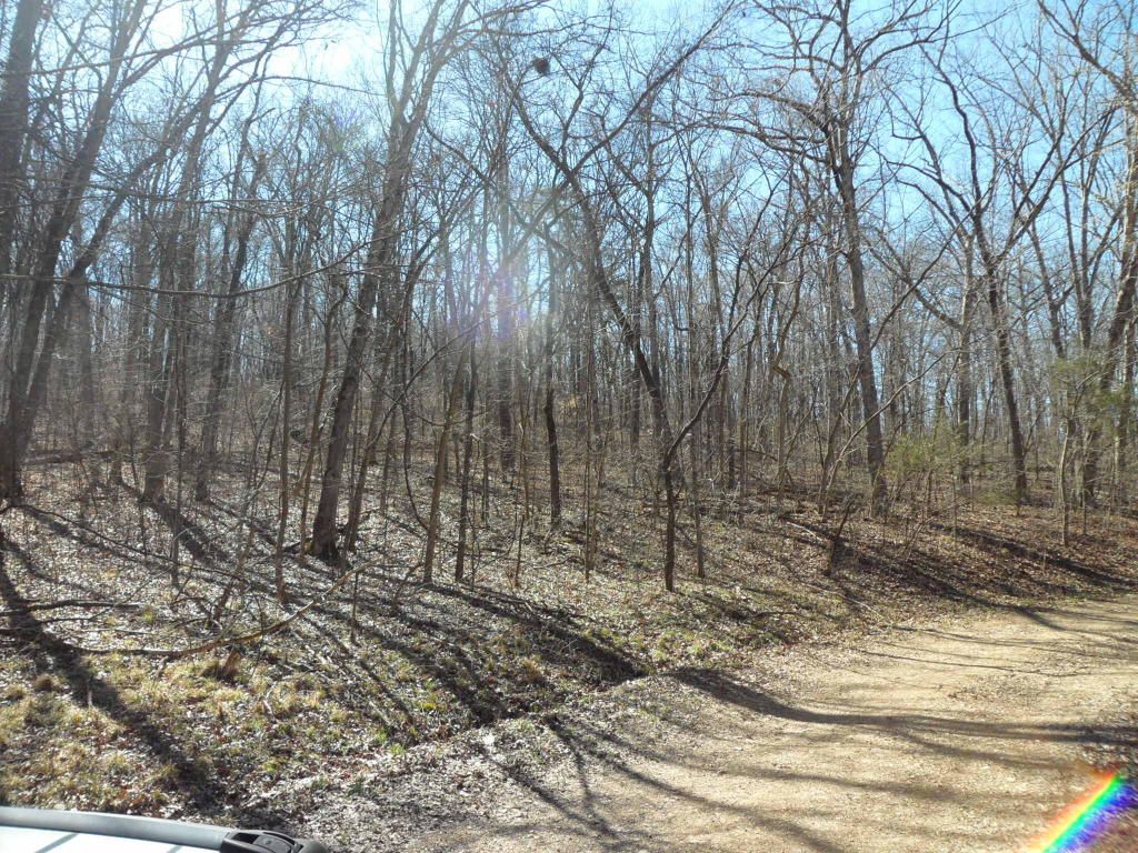 3 Acres, Lot 29 Cedar Ridge, Cape Fair, MO 65624 Land and Farm
