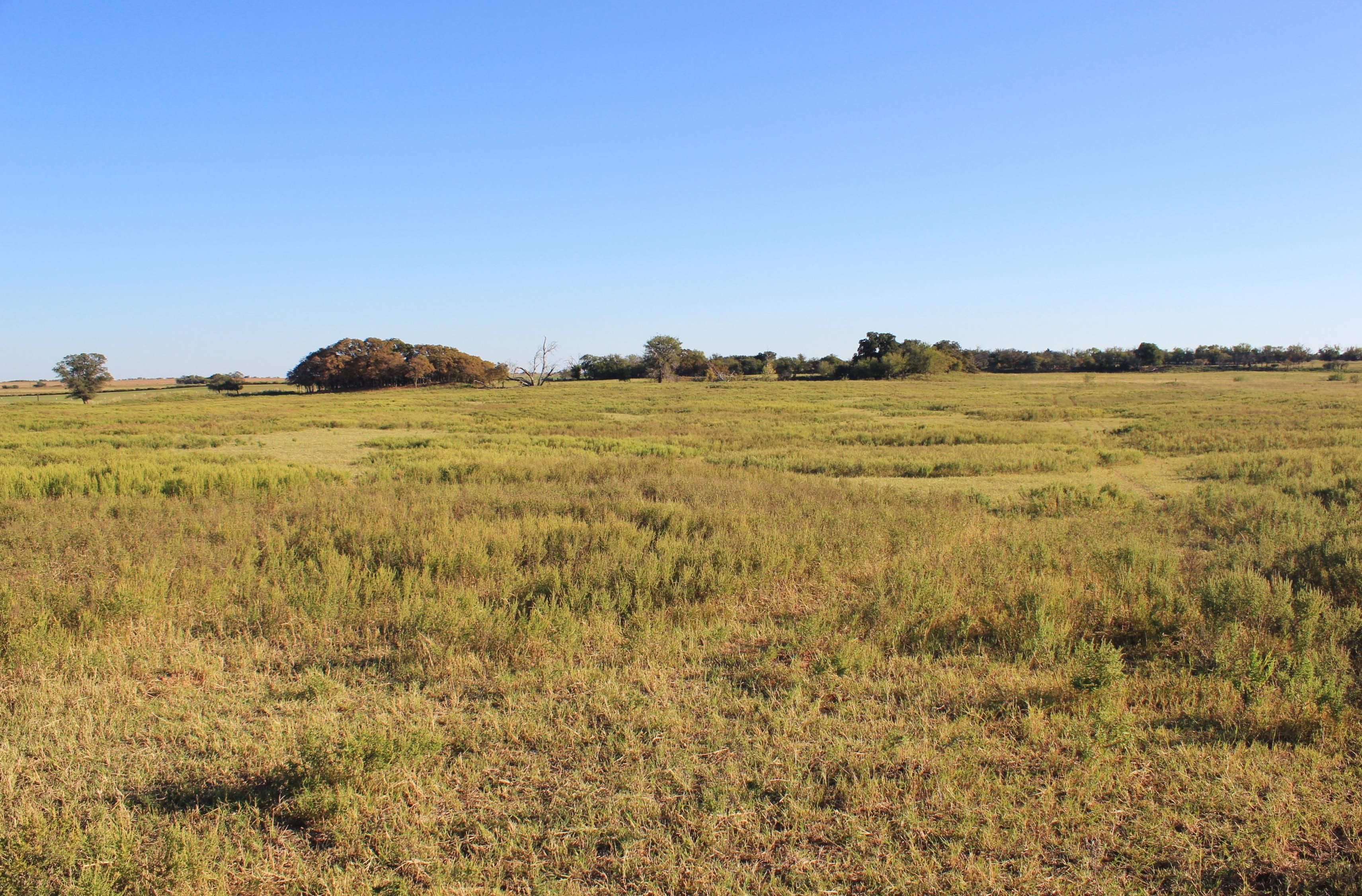 80 Acres, Boone Rd., Chillicothe, TX 79225 Land and Farm