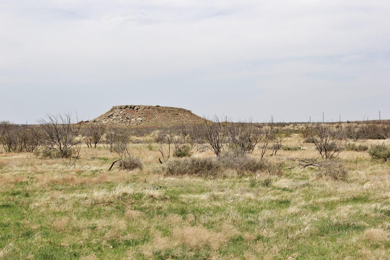 4,149 Acres, Ranch Road 210, Megargel, TX 76370 Land and Farm