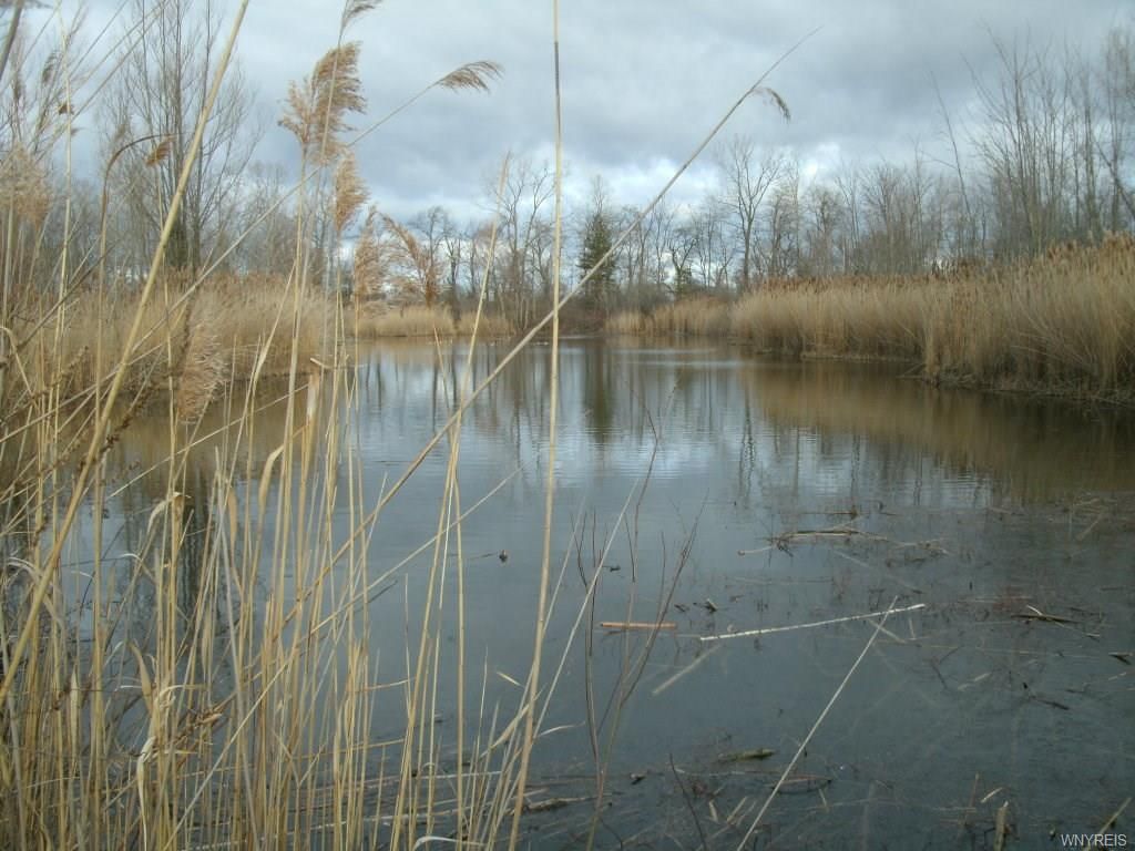 143 Acres, 3661 Ewings Road, Newfane, NY 14094 Land and Farm