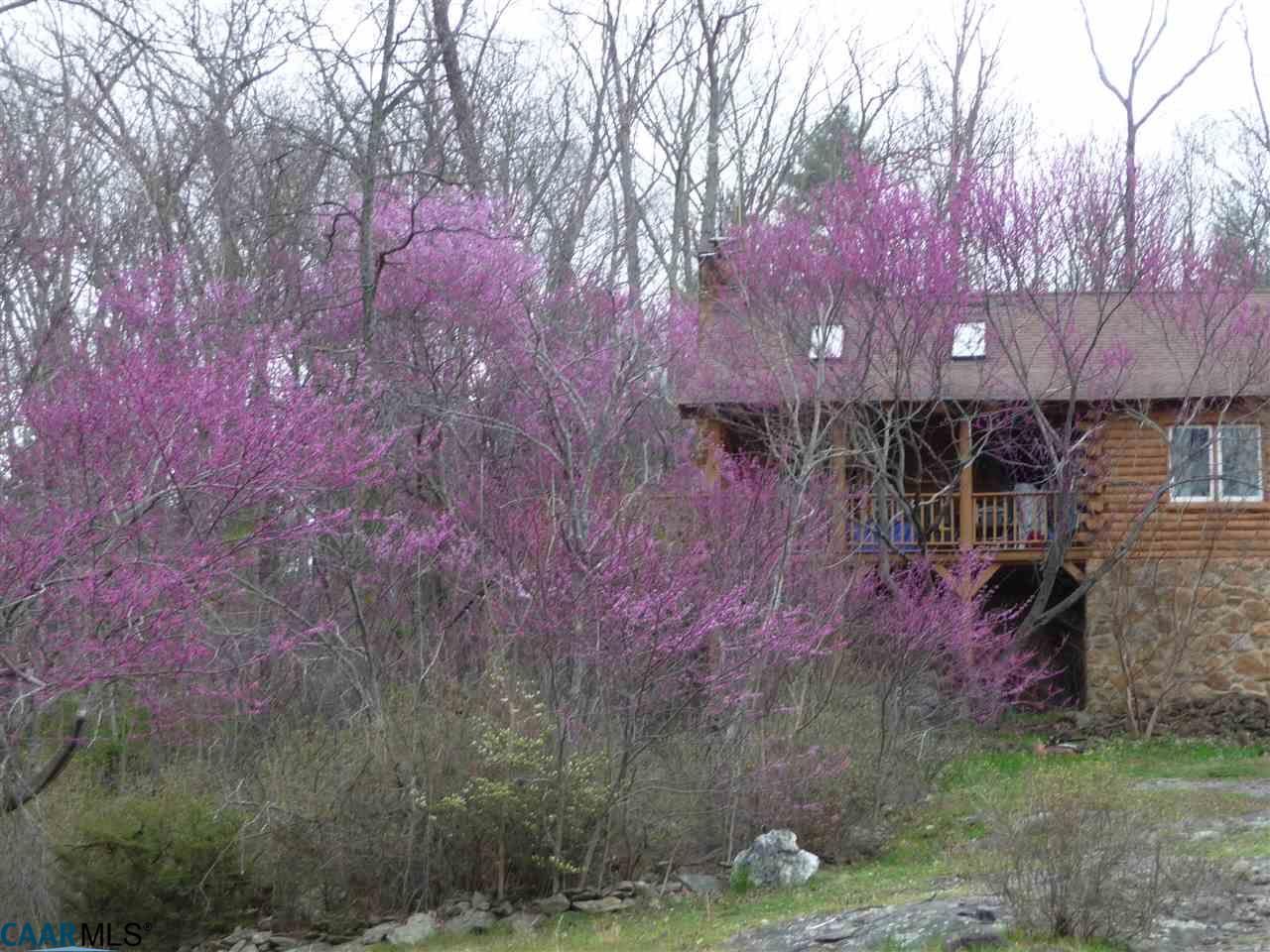 10 Acres, 2411 BULL YEARLING RD, Stanardsville, VA 22973 Land and Farm