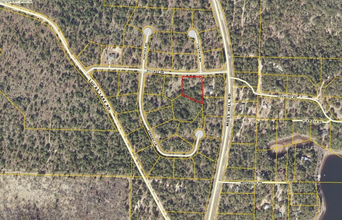 1.17 Acres, LOT 2 VILLAGE Drive, Chipley, FL 32428 Land and Farm