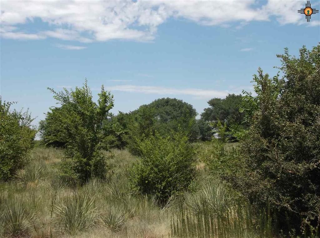 4 Acres, Hwy 60/84, Clovis, NM 88101 Land and Farm