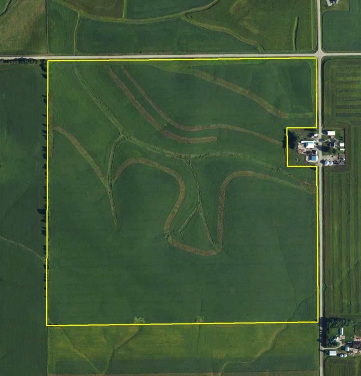 158 Acres, 320th Street at Indian Avenue, West Liberty, IA 52776 Land