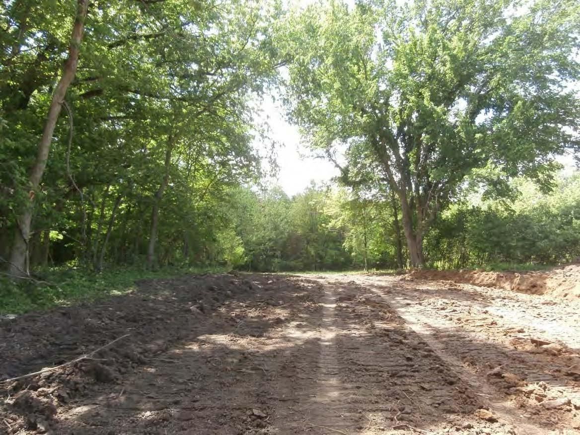 St. Bridget's Road, Solon, IA 52333 Land and Farm