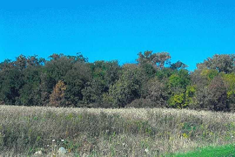 320 acres in Francesville, IN, 47946 Land and Farm