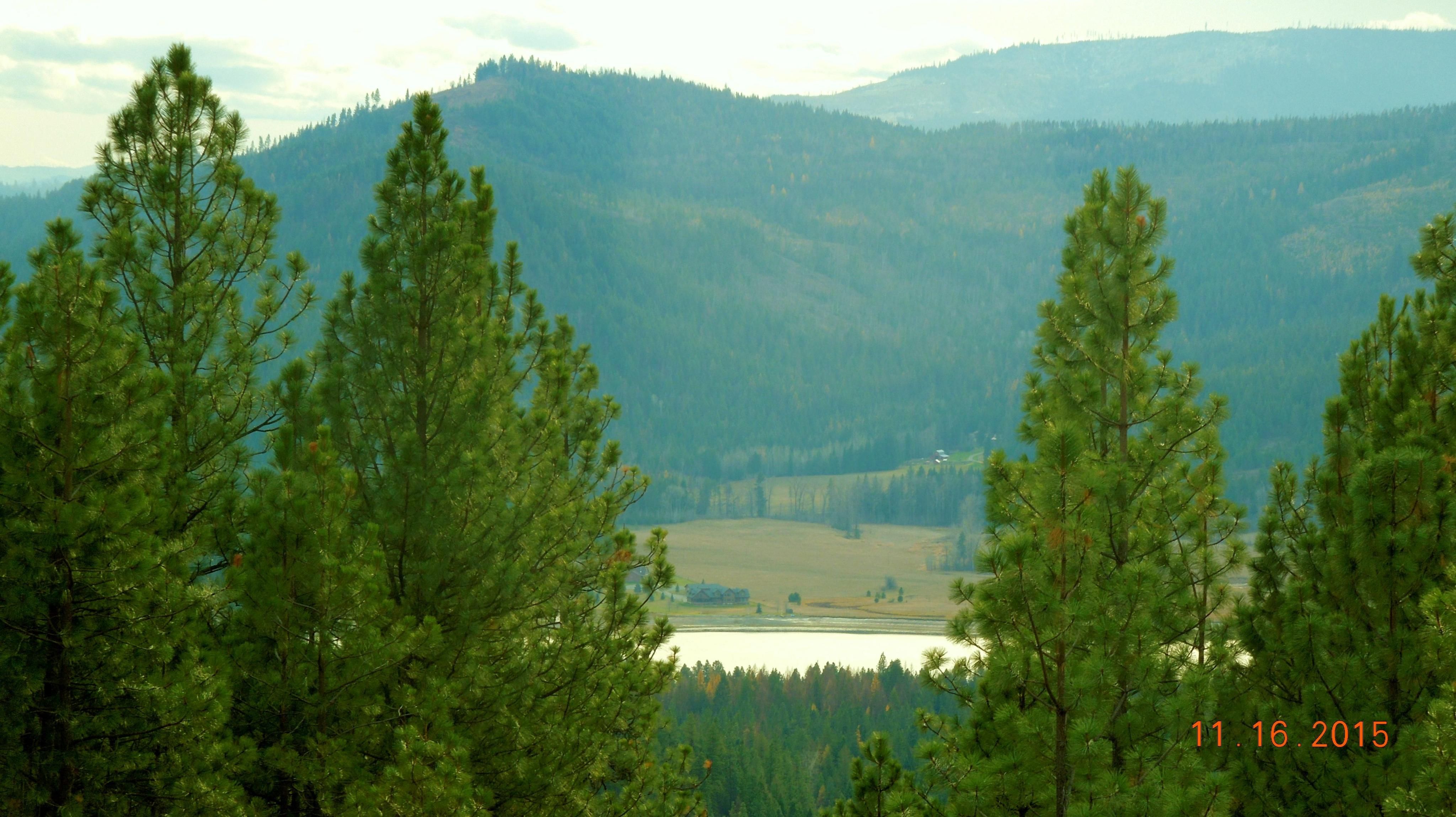 40 acres in Bonner County, Idaho