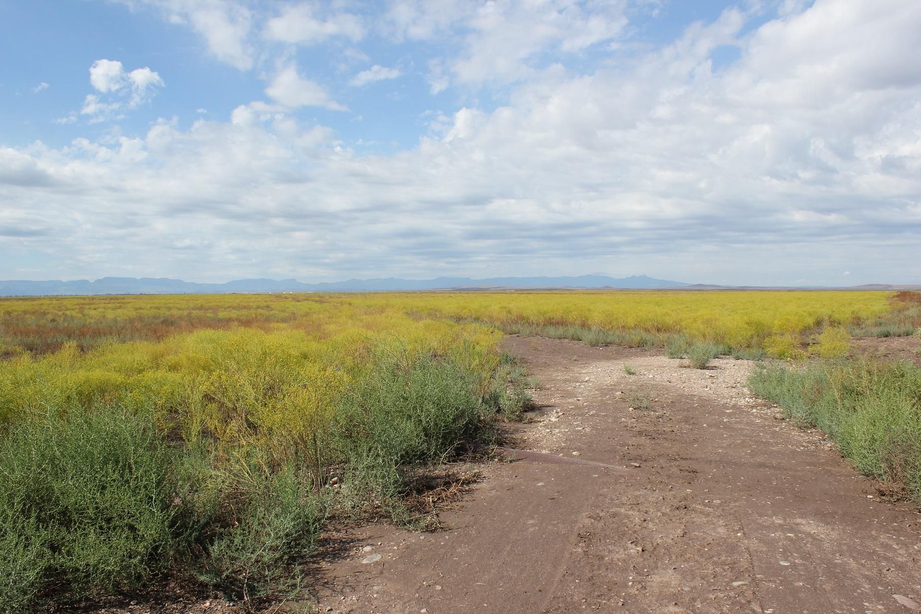 10 Acres, Saragosa, TX 79780 Land and Farm