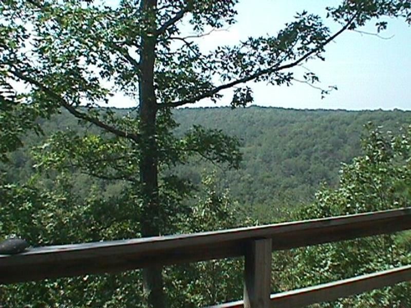 5 Acres, Tuggle Trail, Gainesville, MO 65655 Land and Farm