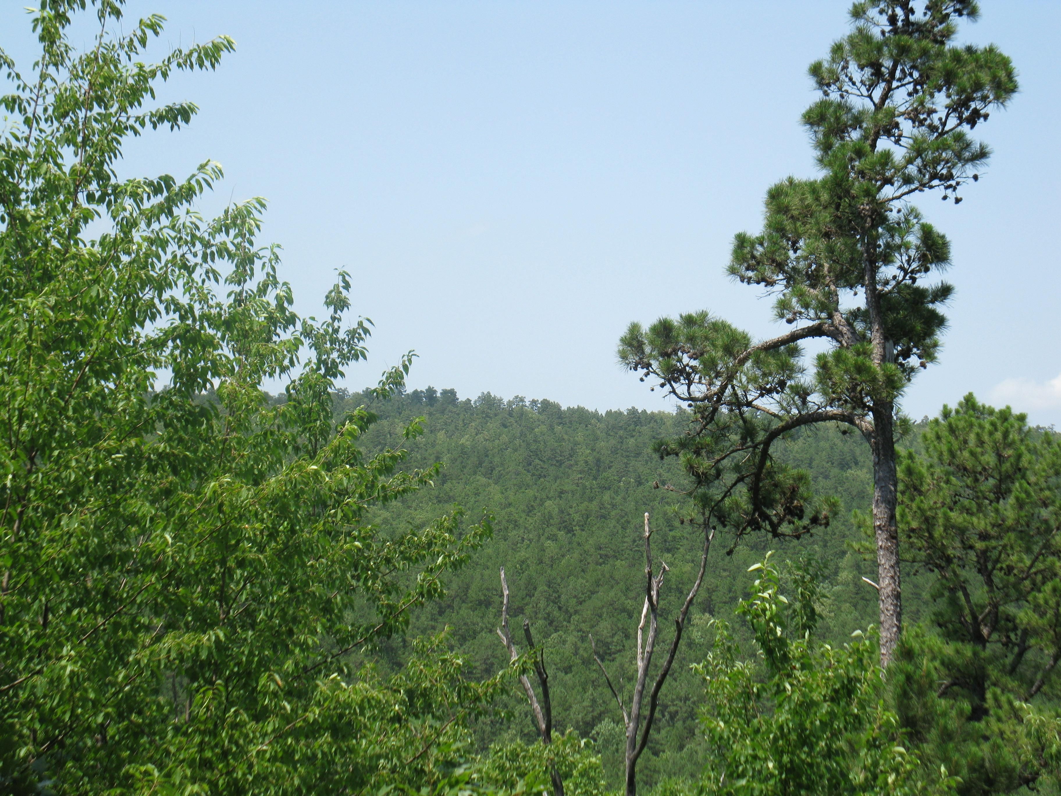 40 Acres, Red Oak, OK 74563 Land and Farm