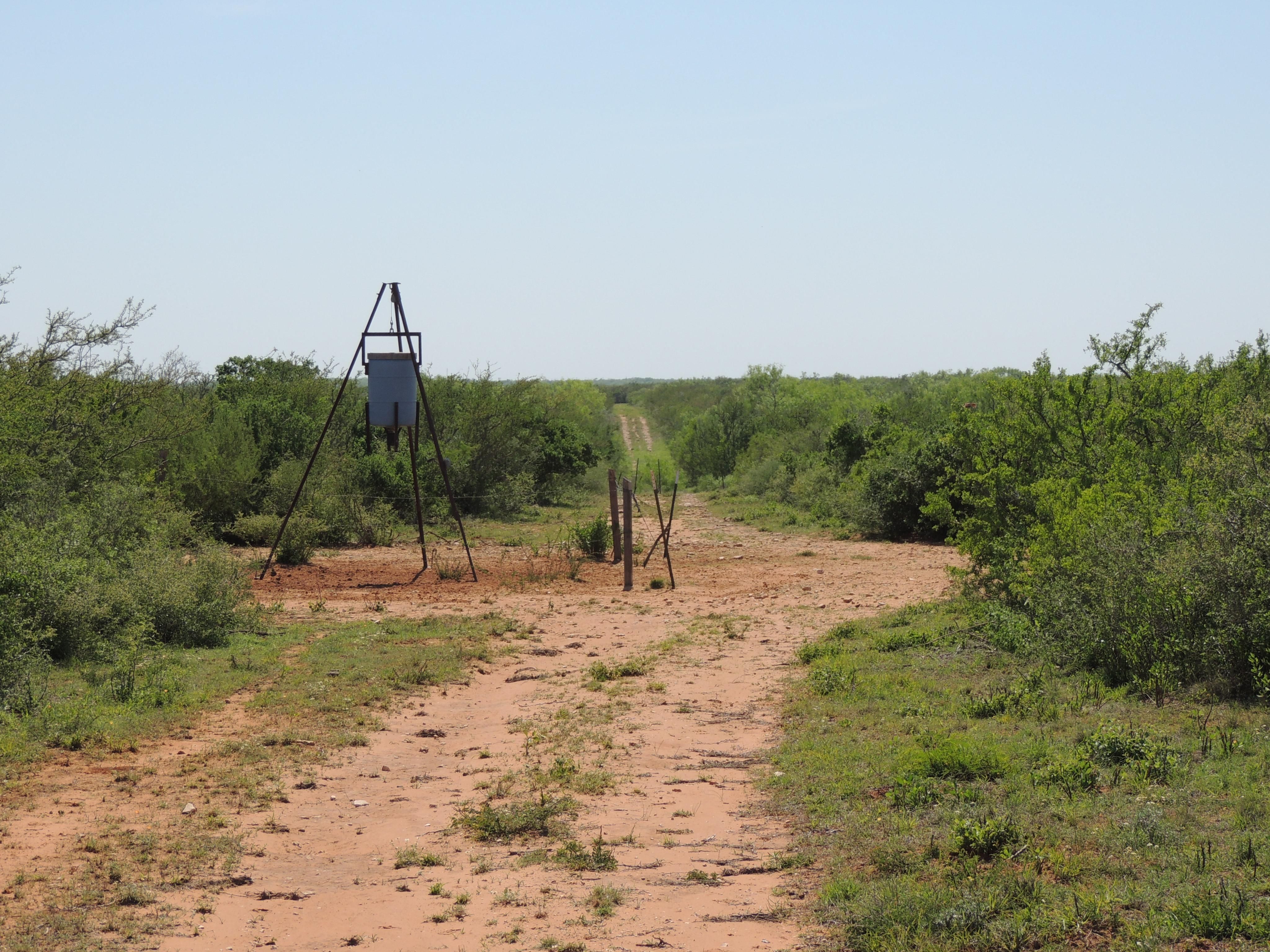 400 Acres, Benavides, TX 78341 Land and Farm