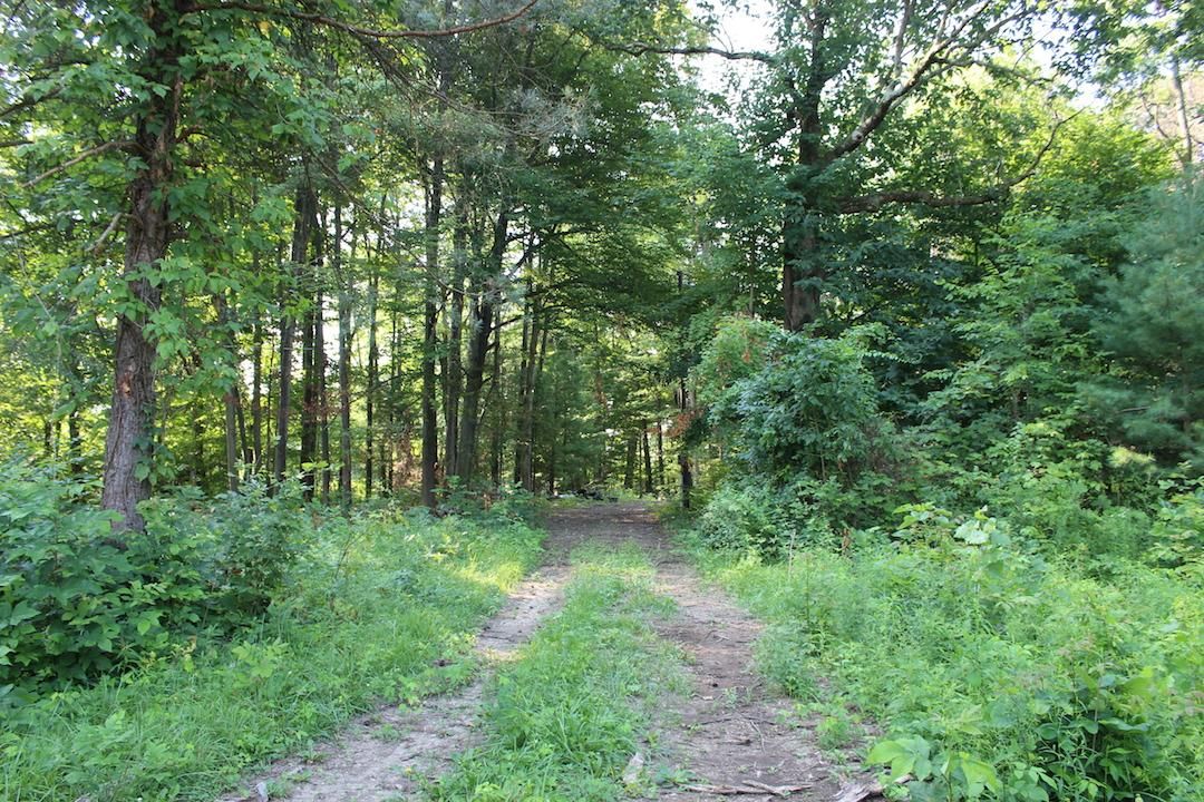 15.65 Acres, 5096 Township Road 179, Cardington, OH 43315 Land and Farm