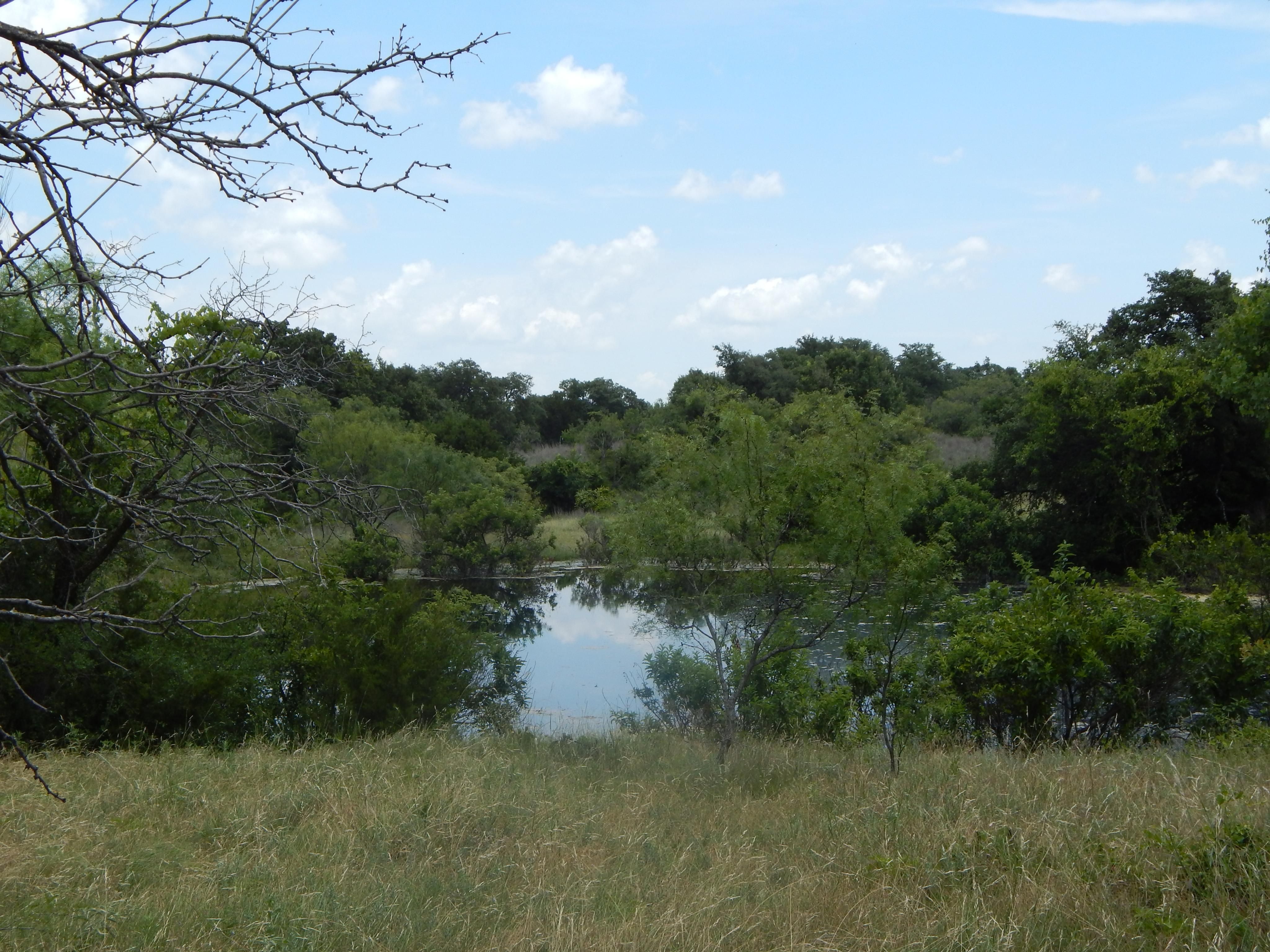 39.19 Acres, 3000 FM 590, Zephyr, TX 76890 Land and Farm
