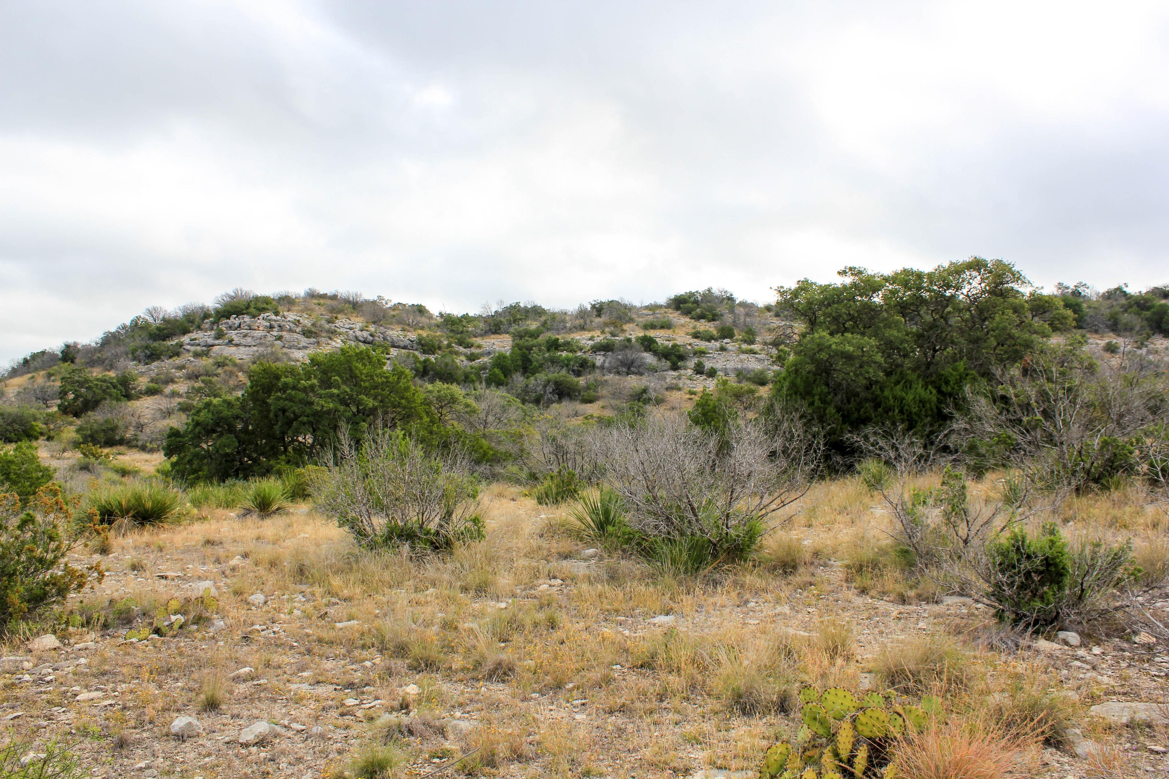 120 South Canyon Rd., Ozona, TX 76943 Land and Farm